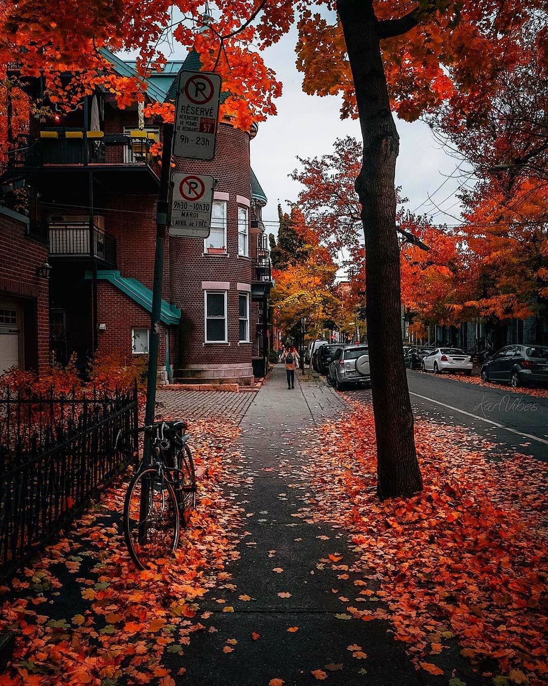 A street in Autumn #autumn #fall #leafs. Autumn scenery, Fall wallpaper, Autumn photography