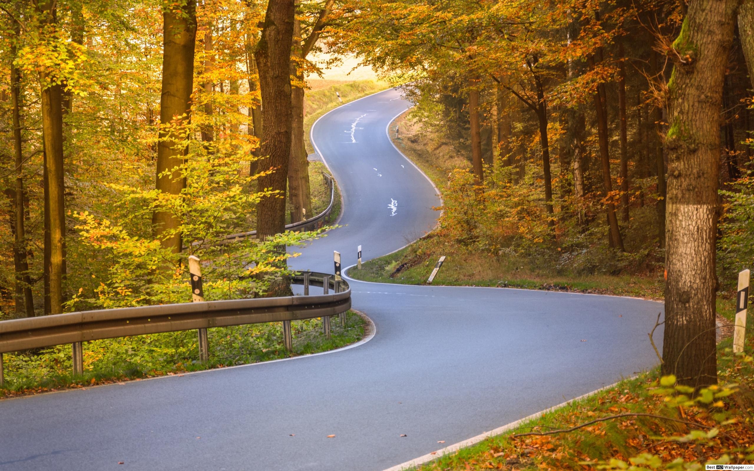 Curvy Road in autumn HD wallpaper download