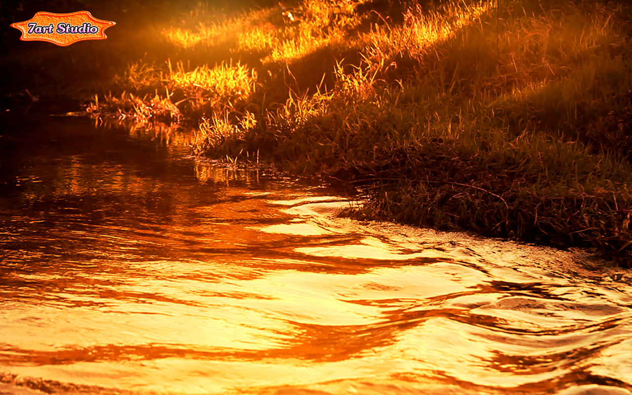 Glitter Autumn River screensaver and live animated wallpaper for Windows and Android