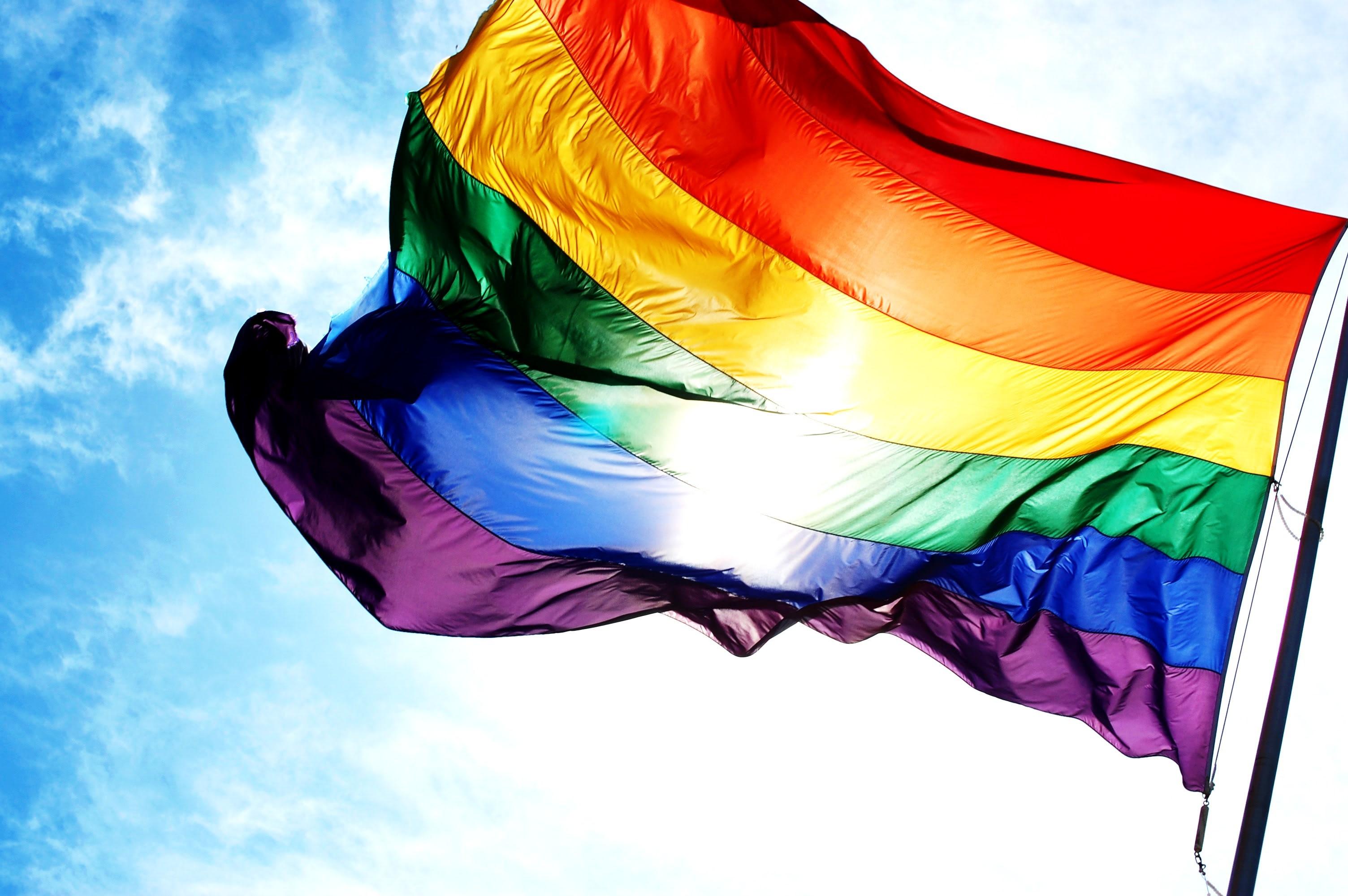 1000 Rainbow Flag Pictures  Download Free Images on Unsplash