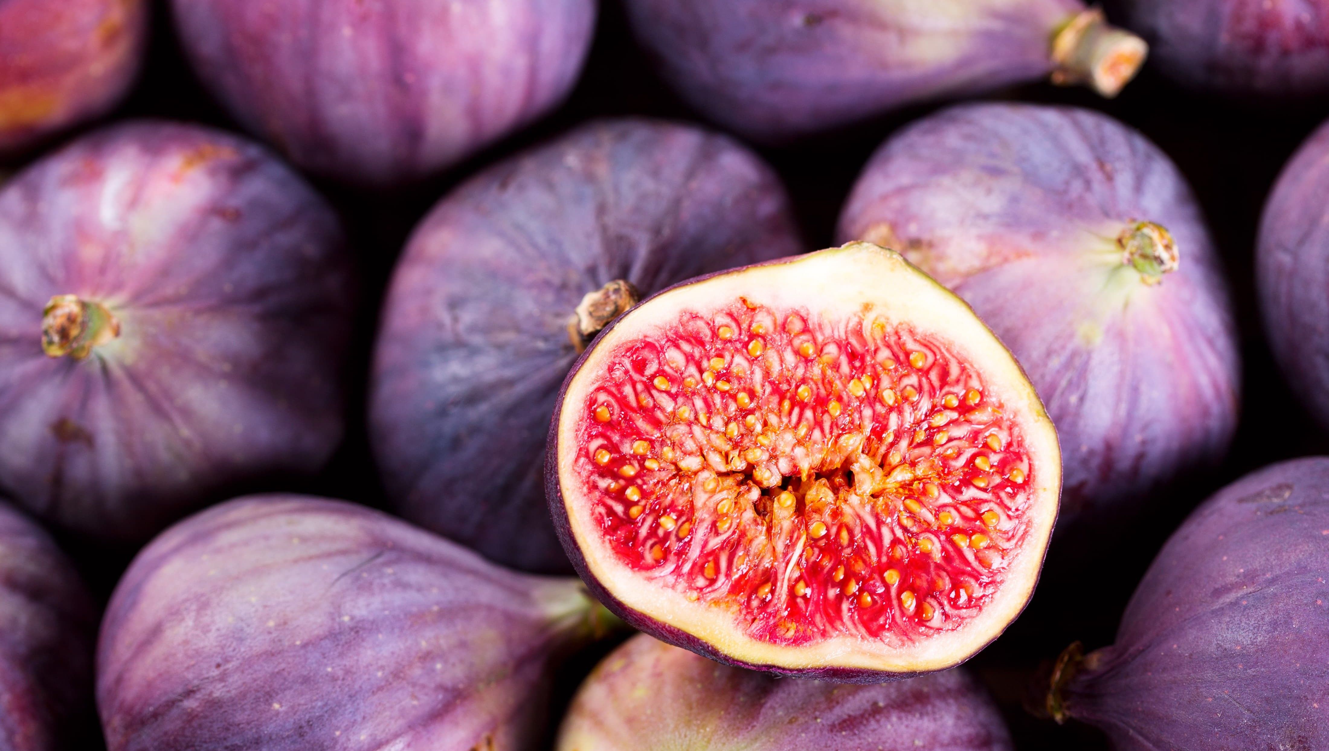 Figs Wallpapers - Wallpaper Cave