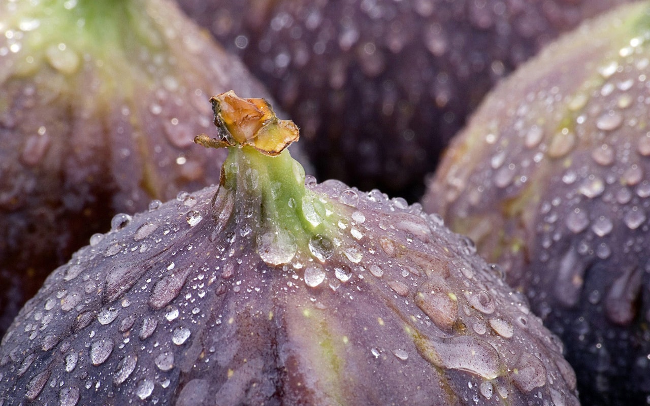 Figs HD Wallpaperwallpaper.net