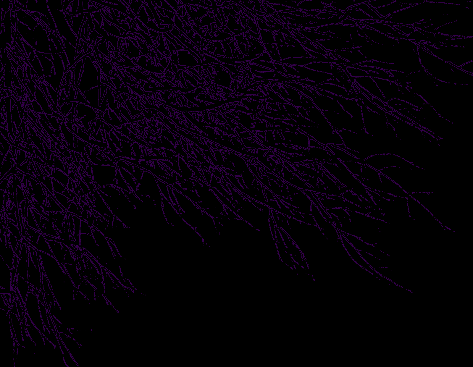 Purple Goth Wallpaper