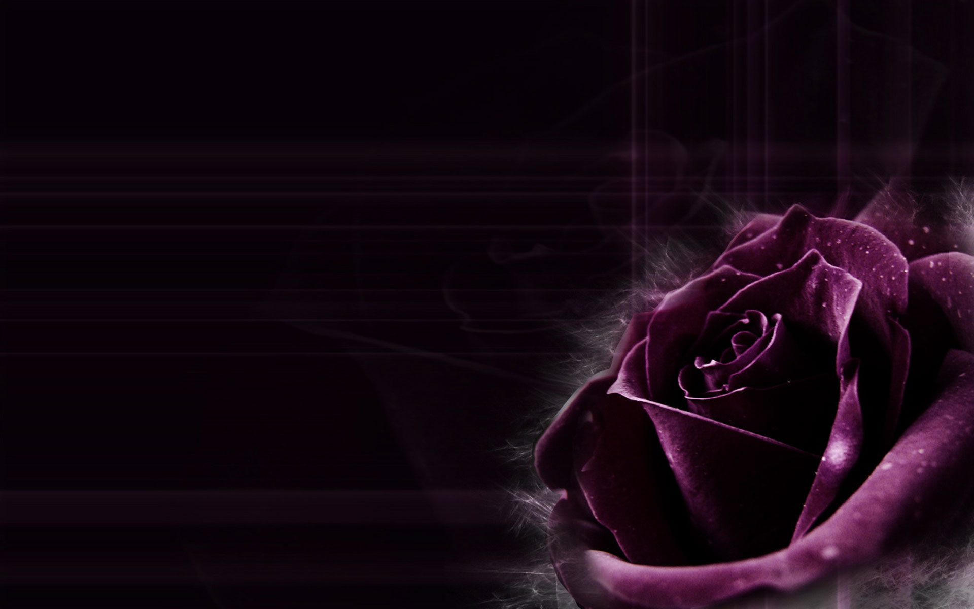 HD Purple Wallpaper