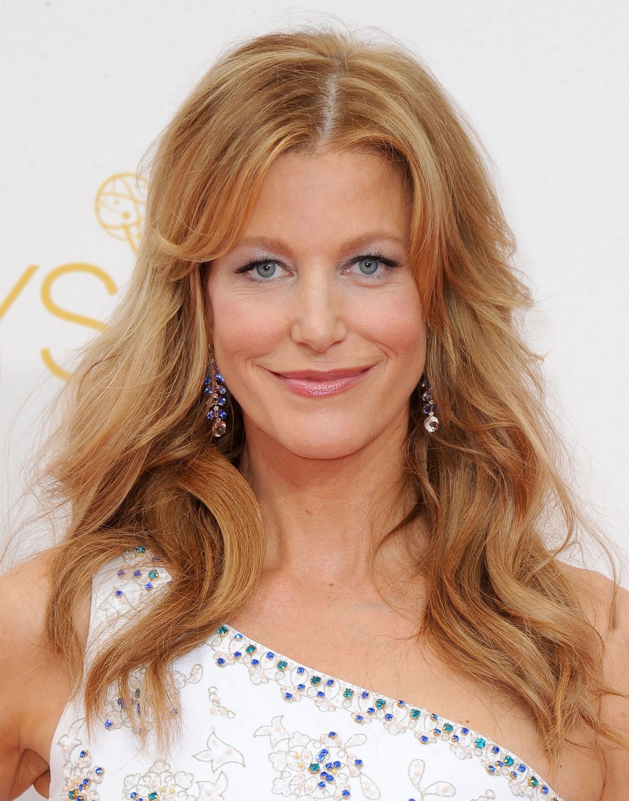 Picture of Anna Gunn Of Celebrities