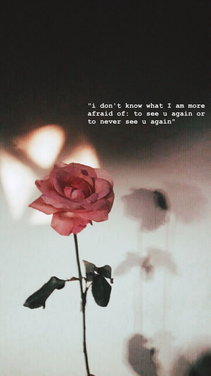 Sad Roses Wallpaper