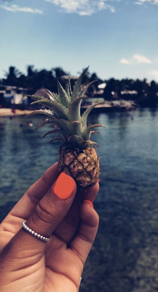 p i n e a p p l e. Summer photography, Artsy photo, Artsy picture