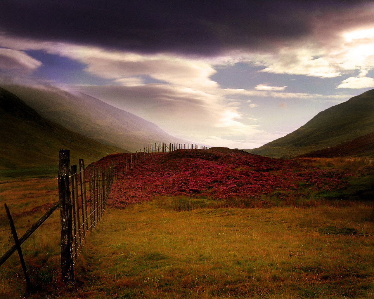 Free download Scottish Heather Scotland picture Scottish Heather Scotland photo [1280x1024] for your Desktop, Mobile & Tablet. Explore Scottish iPhone Wallpaper. Scottish Flag Wallpaper, Picture of Scotland for Wallpaper