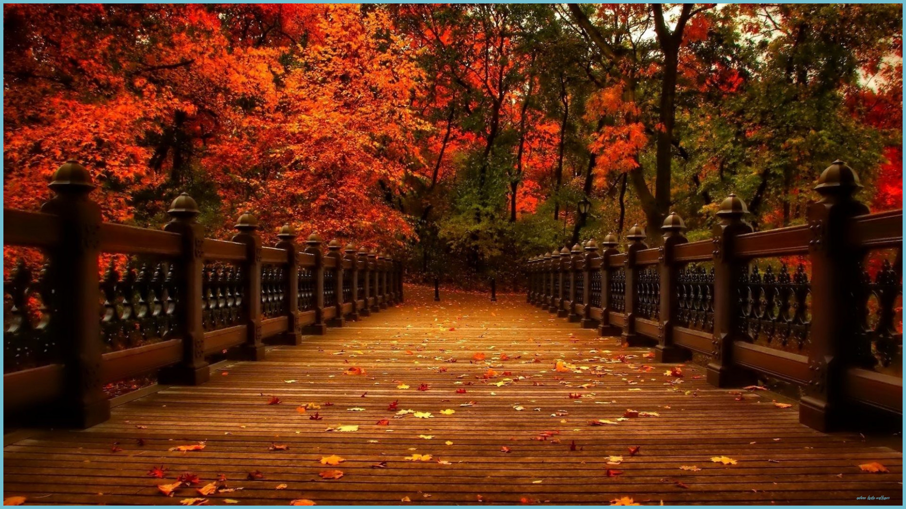 Autumn Laptop Wallpaper Laptop Wallpaper