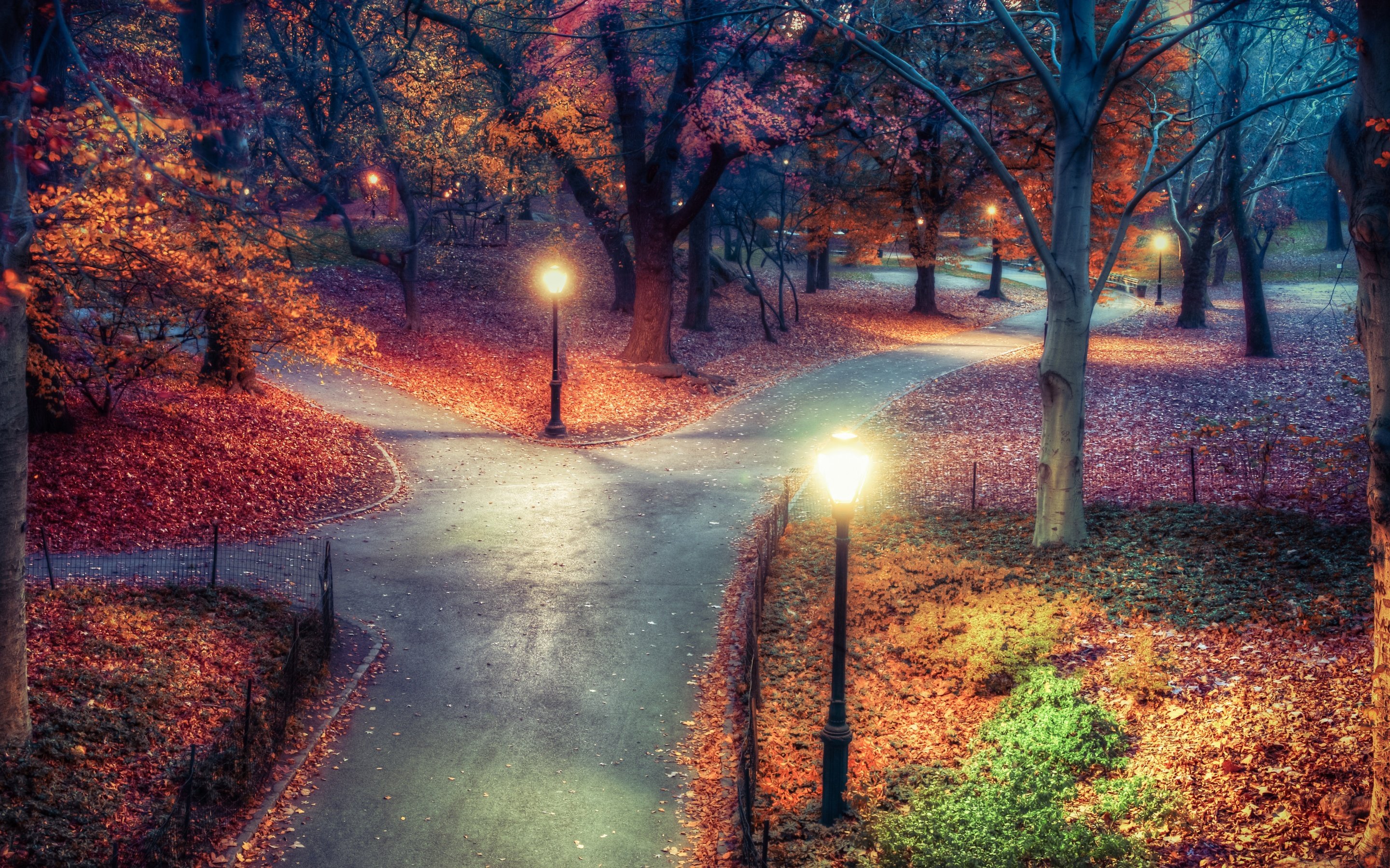 Central Park Wallpaper 4K, New York City, Autumn leaves, Path, Night, Nature