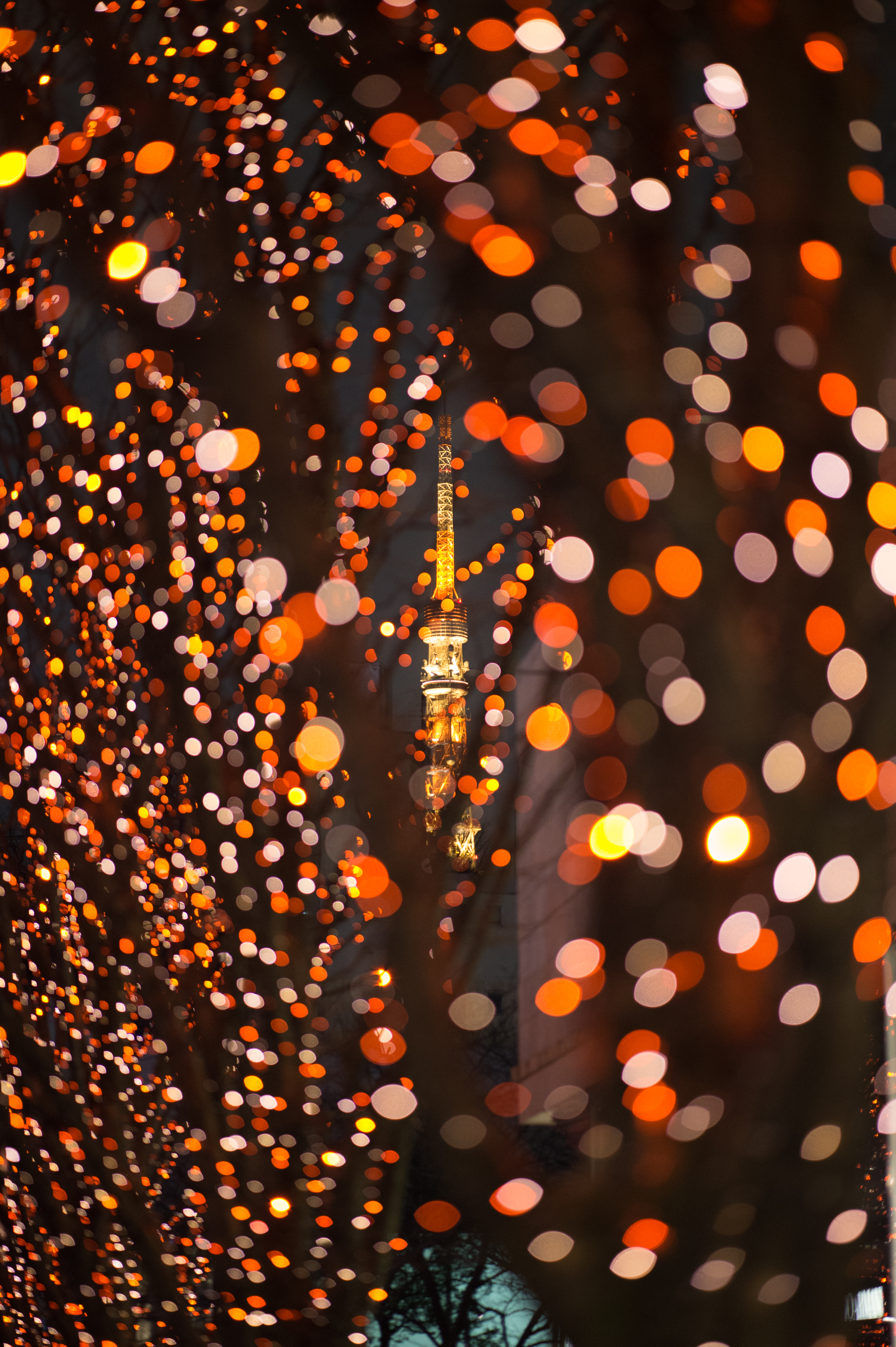 Wallpaper, Japan, night, branch, pattern, circle, Nikon, Tokyo, Jp, light, color, nikkor, autumn, flower, lighting, design, afs105mmf14eed, afsnikkor105mmf14eed, df, roppongi, roppongihills, keyakizaka 2947x4428