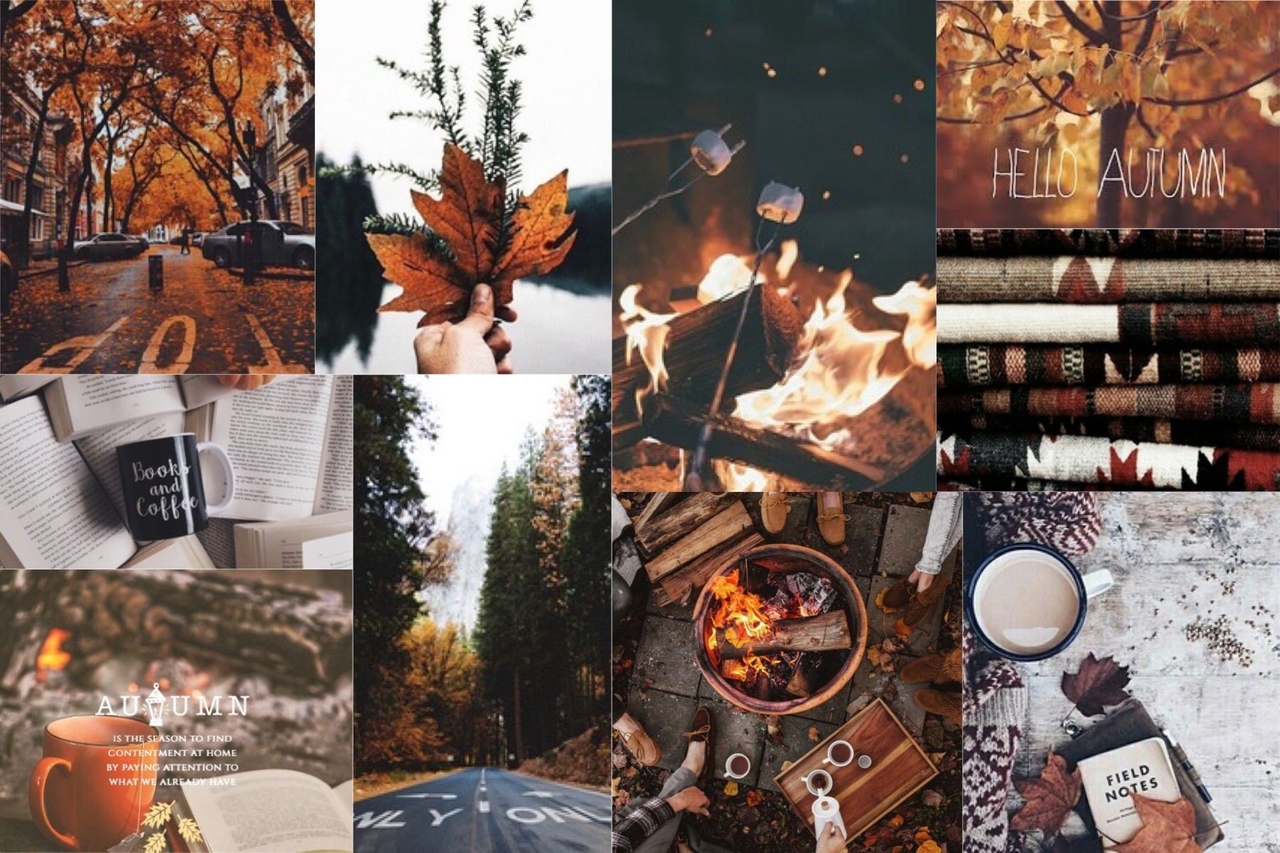 Wood Logs Pumpkins Colorful Autumn Leaves Trees Books Texture Fire Fall  Collage HD wallpaper  Peakpx
