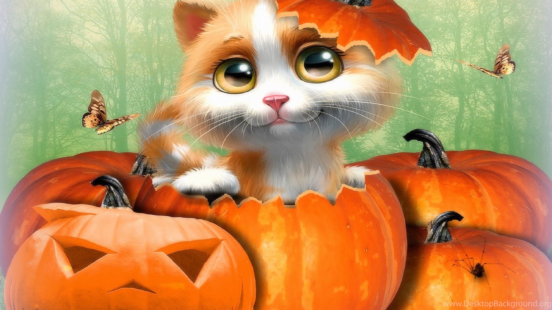 Cute Cat Halloween Desktop Backgrounds Hd Wallpapers PowerballForLife Desktop Backgrounds