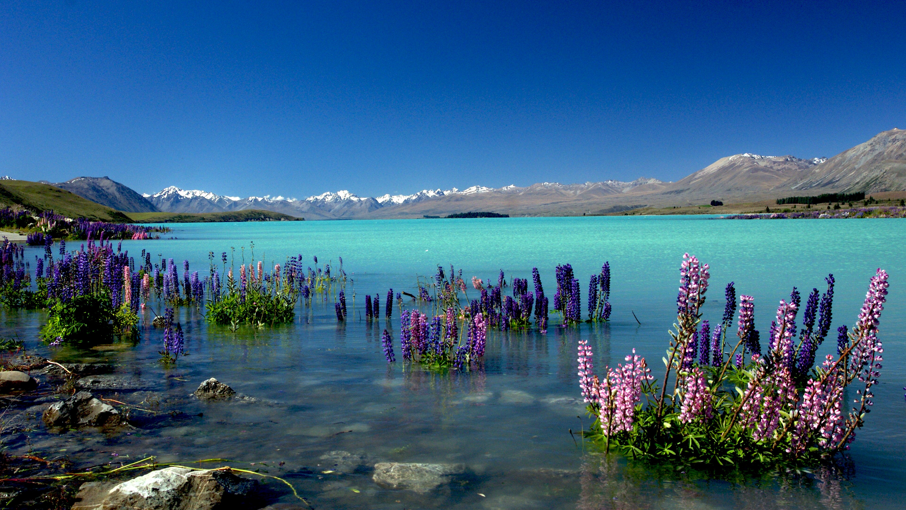 Wallpaper Lake Tekapo, New Zealand, mountains, 4k, Nature