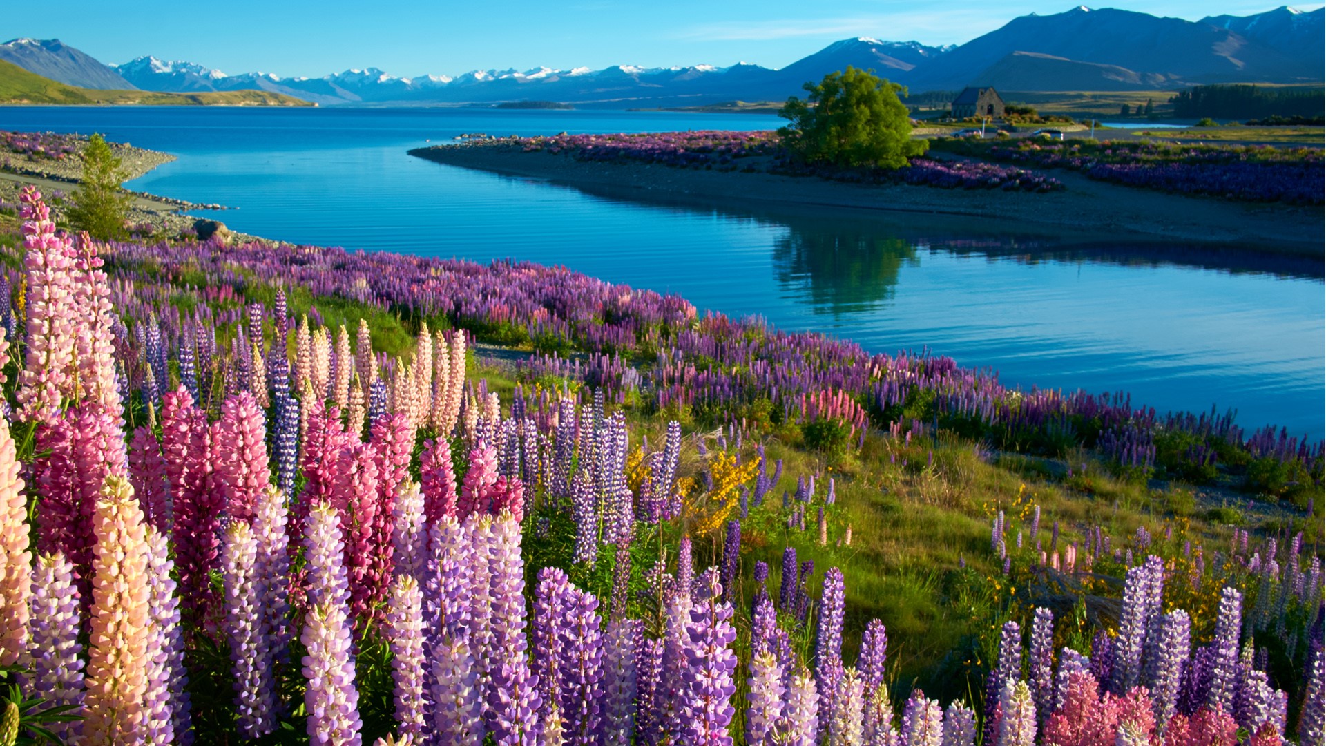 Lake Tekapo Wallpapers Wallpaper Cave Lake Tekapo Wallpapers Wallpaper Cave