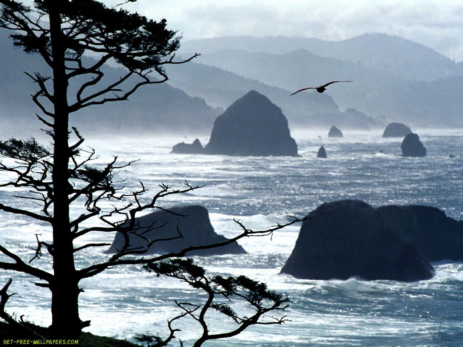 Oregon Coast Wallpaper