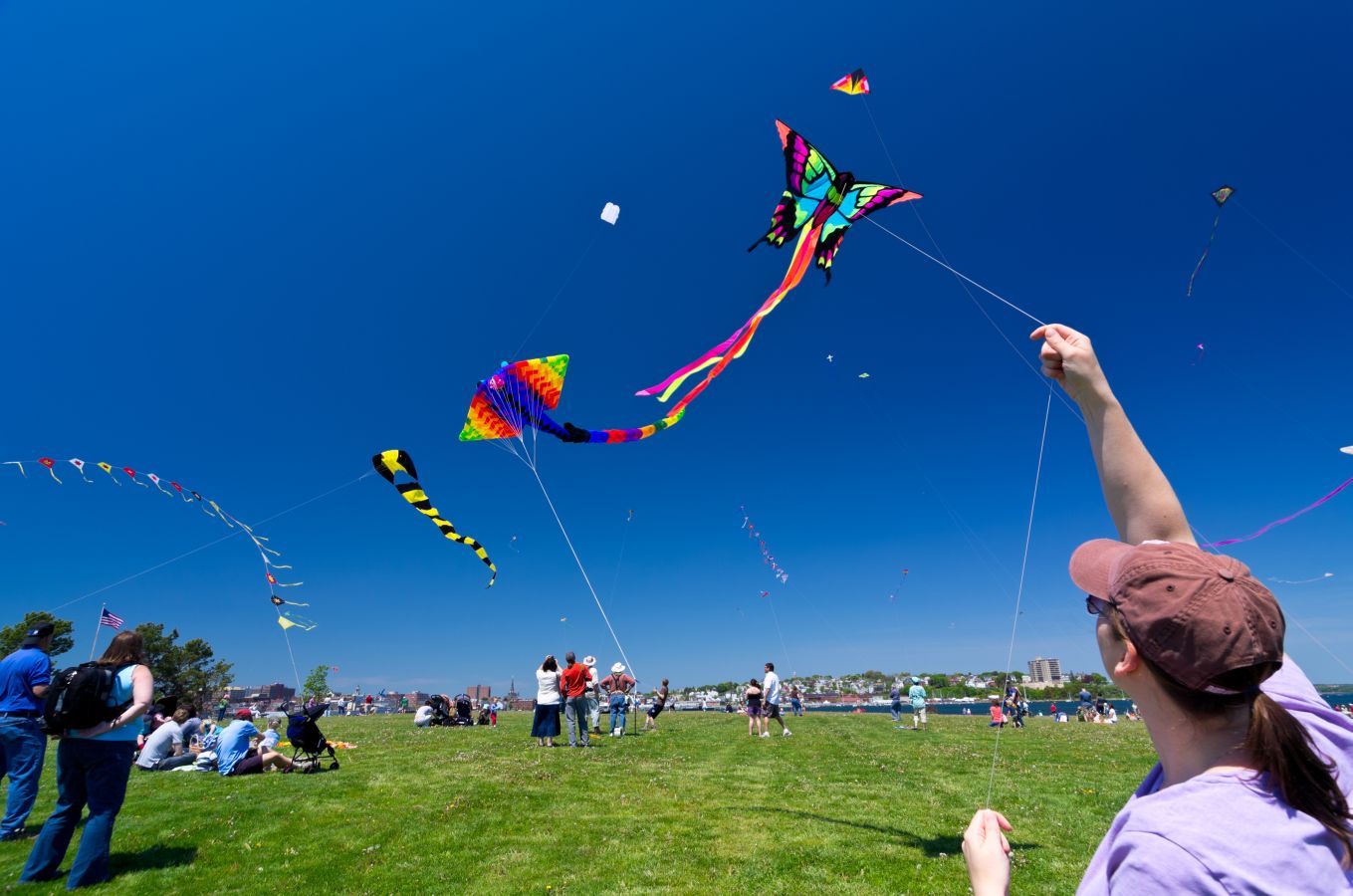 kite flying festival hd