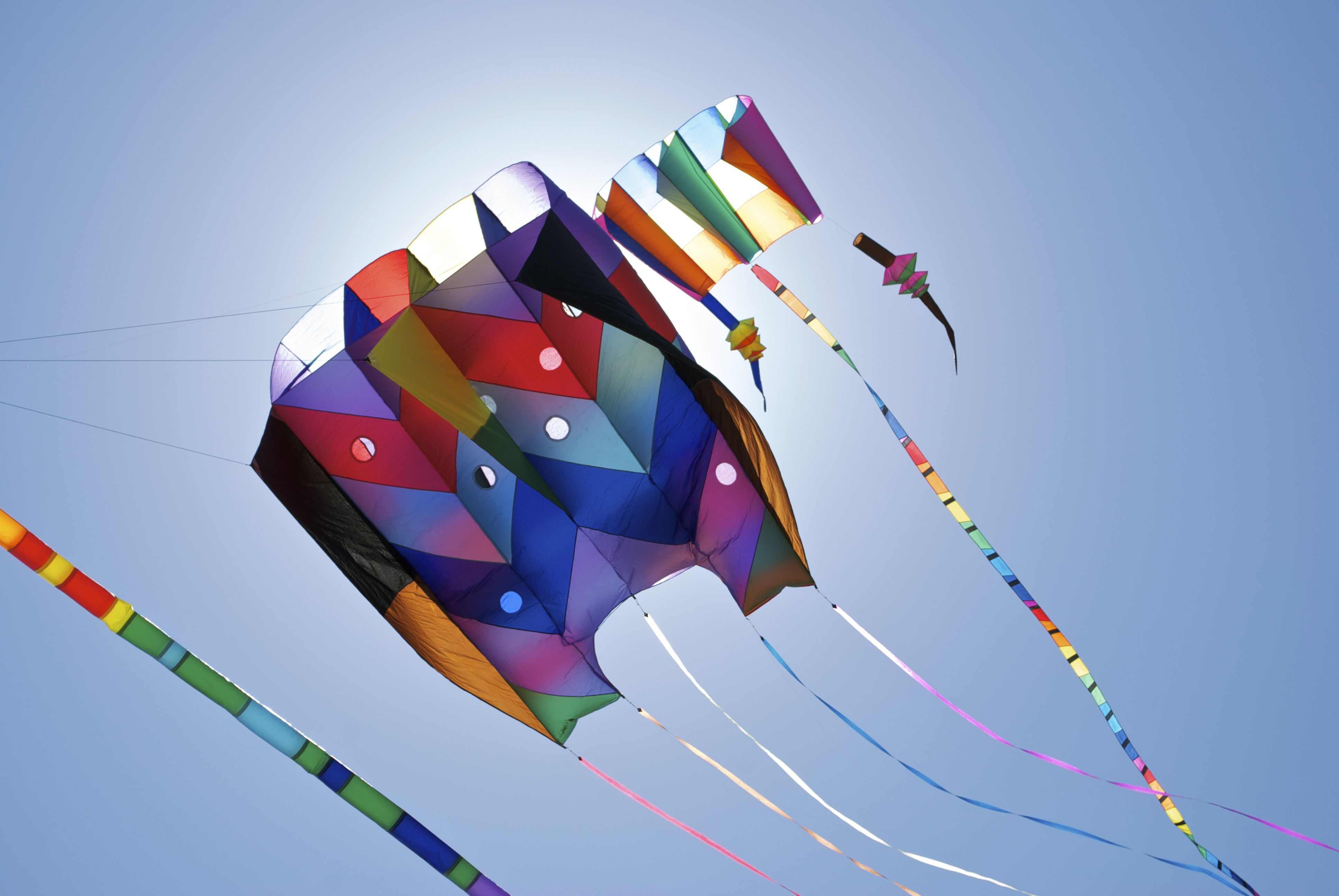 HD Kites in Sky Makarsankranti Special. HD Wallpaper Free Download. Homemade kites, Pongal festival image, Go fly a kite