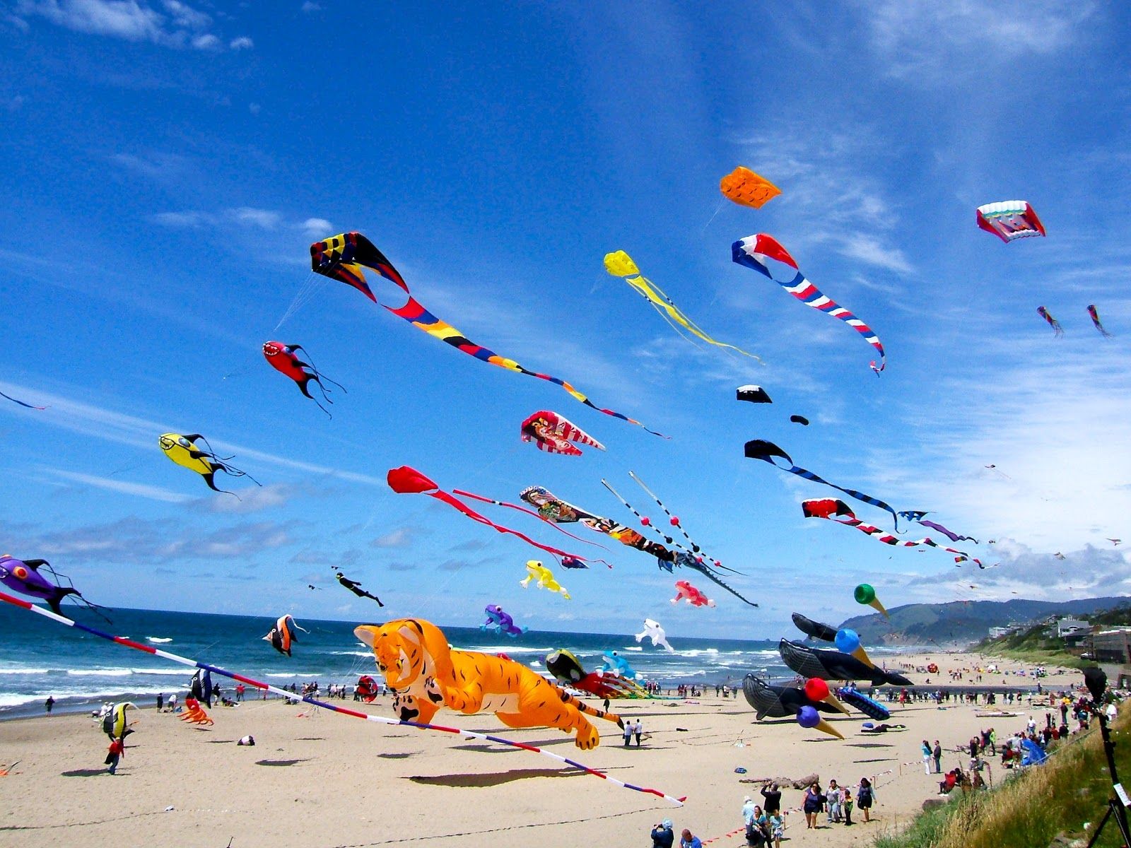 This weekend's outing!. Kite festival, Festivals of india, Places to see