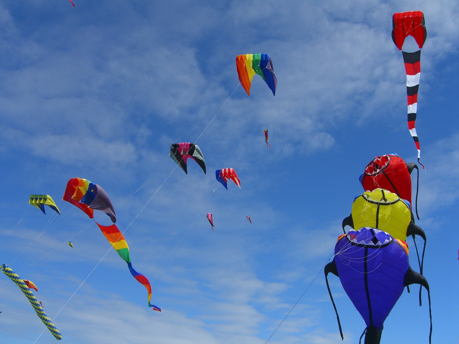 Washington State International Kite Festival 2021 in Seattle