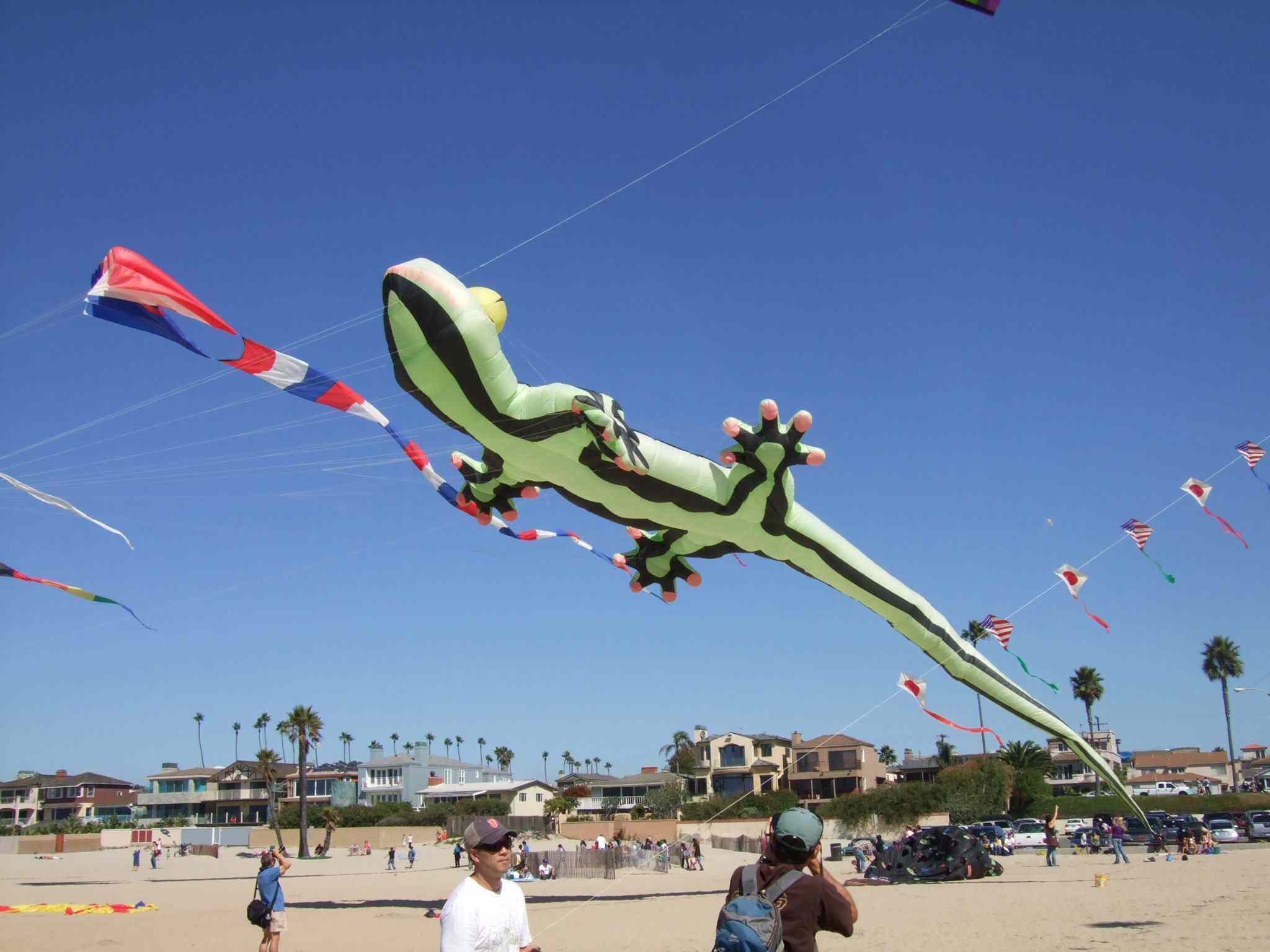 Japan America Kite Festival in Santa Monica