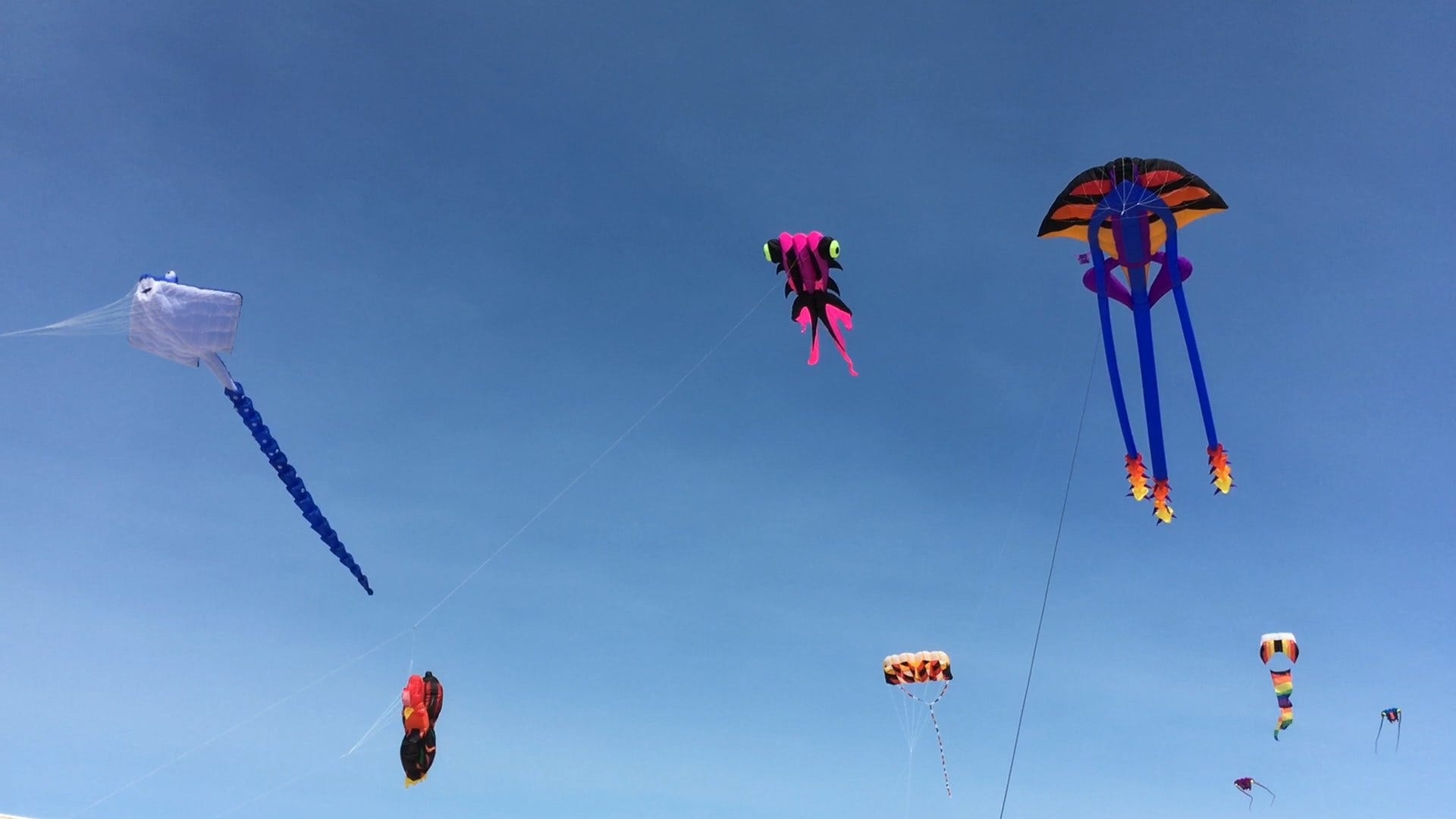 Great Delaware Kite Festival Postponed Again