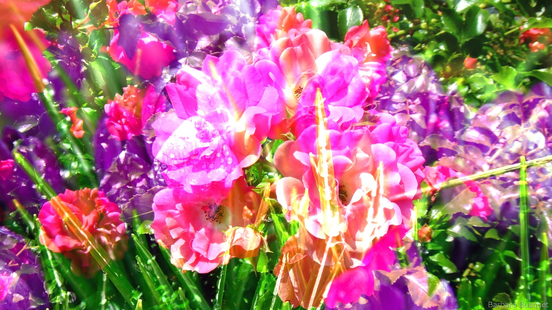 Abstract flowers and grass's HD Wallpaper