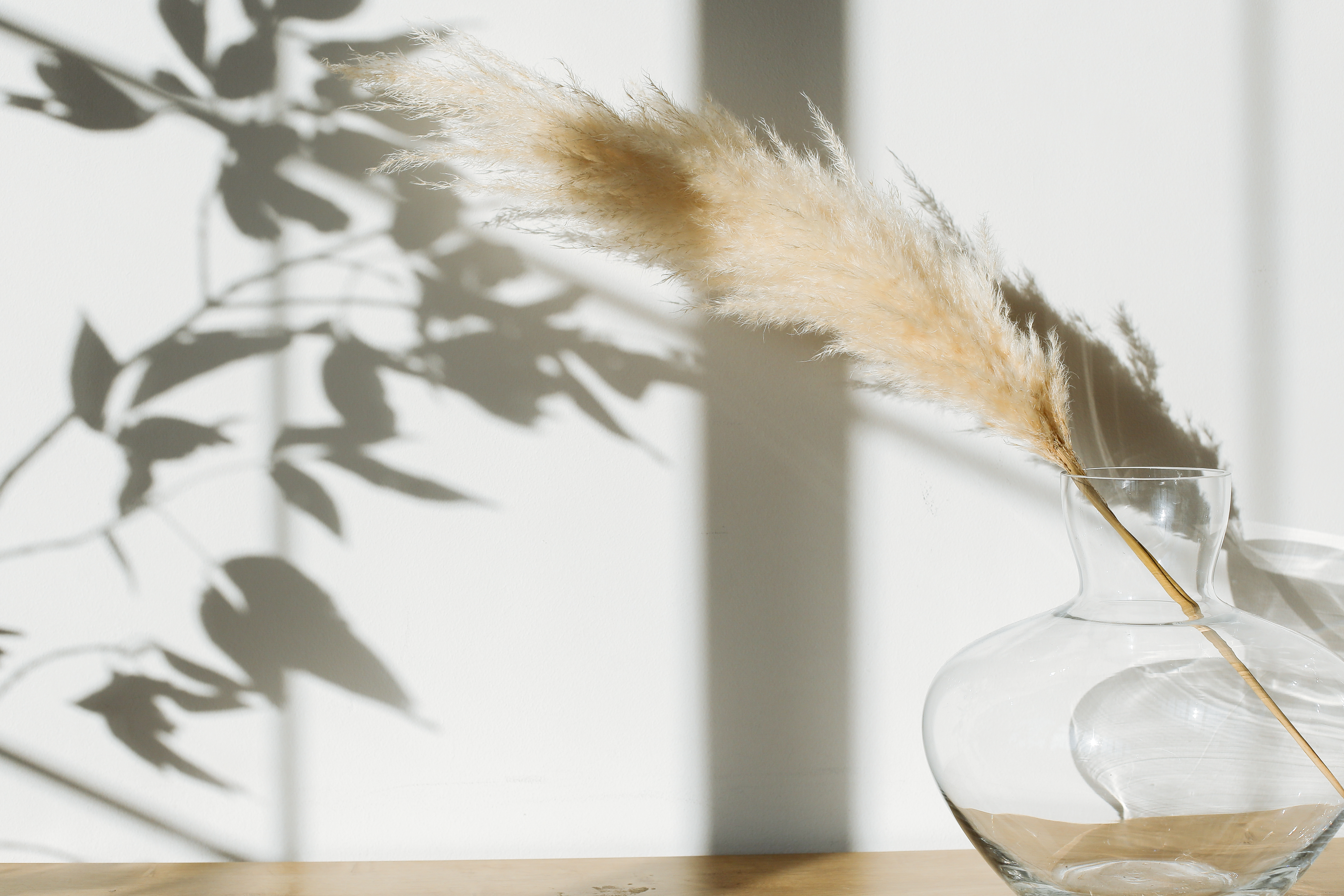 Vase with pampas grass placed on desk · Free