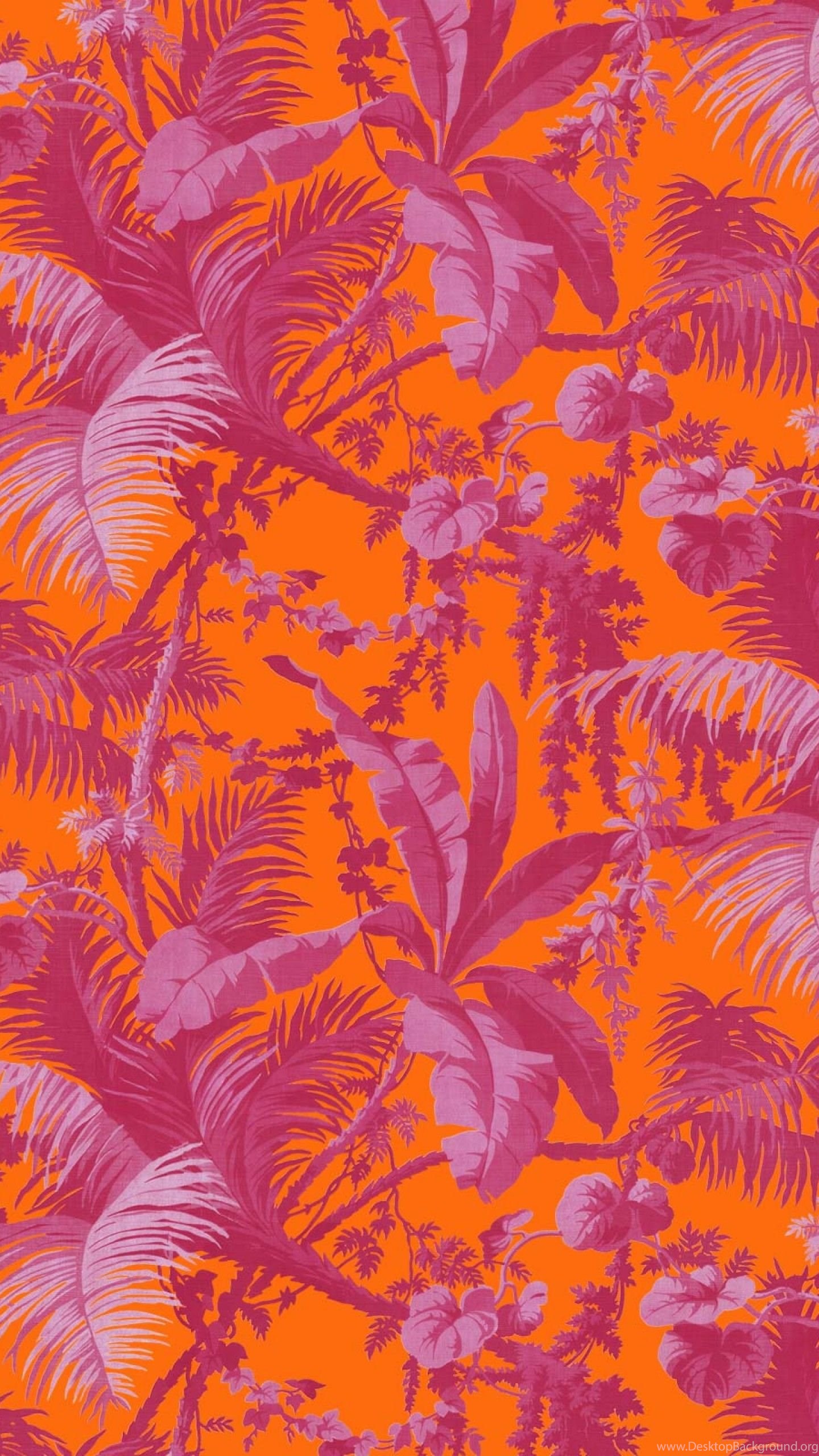 PAMPAS Wallpaper Tangerine / Azalea Desktop Background