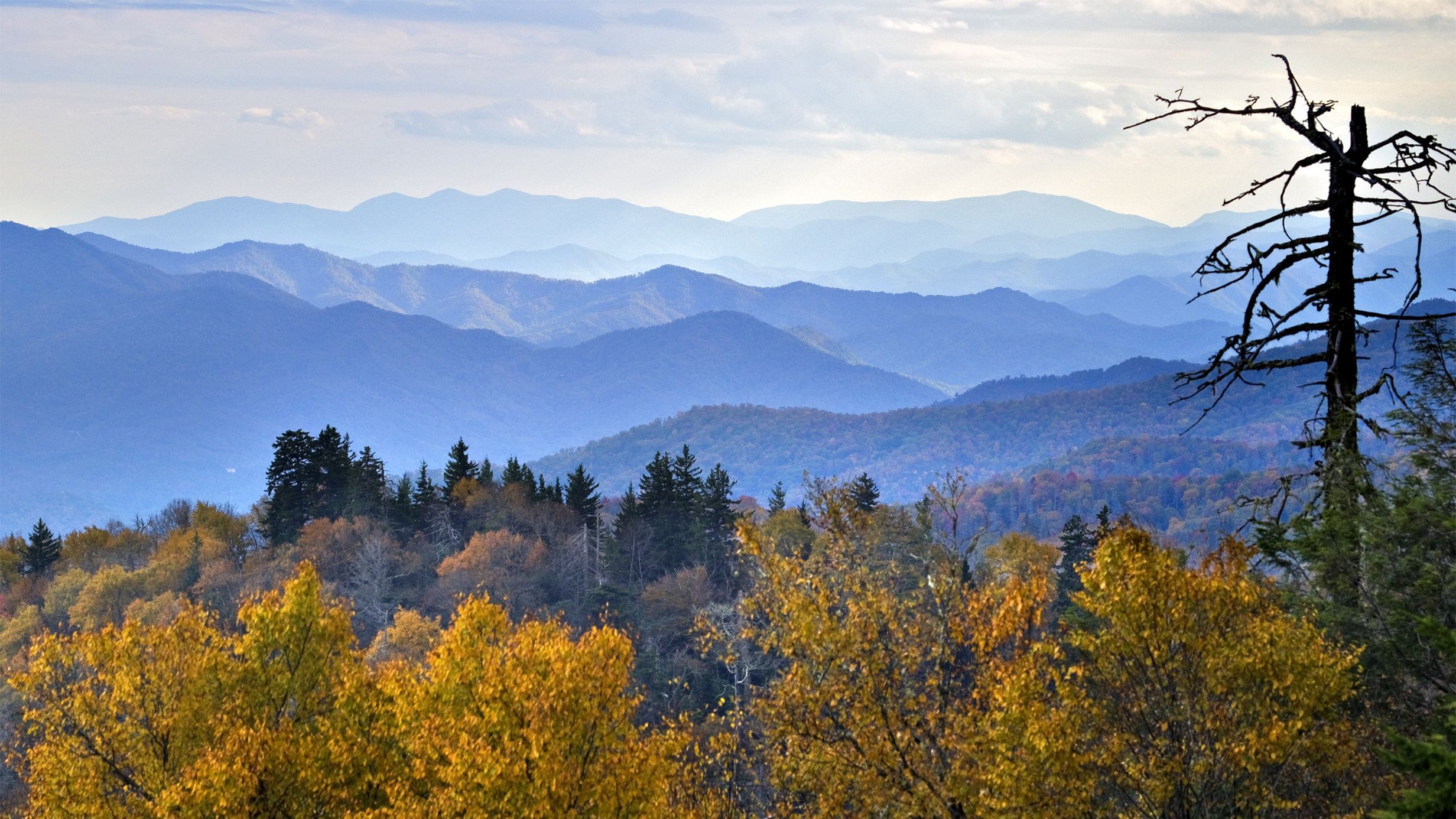 Great Smoky Mountains Tennessee Wallpaper, HD Great Smoky Mountains Tennessee Background on WallpaperBat