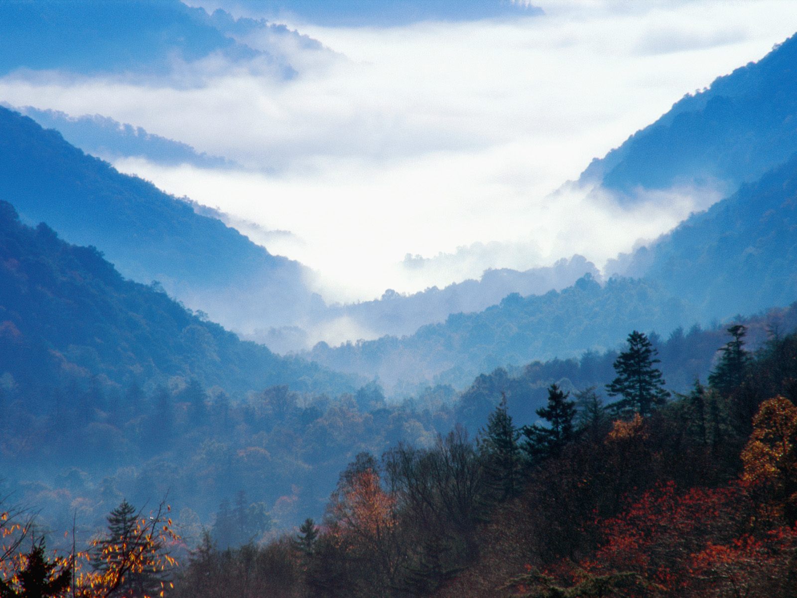 Great Smoky Mountains Wallpaper Free Newfound Gap, Great Smoky Mountains, Tennessee, Photo, Picture and Background
