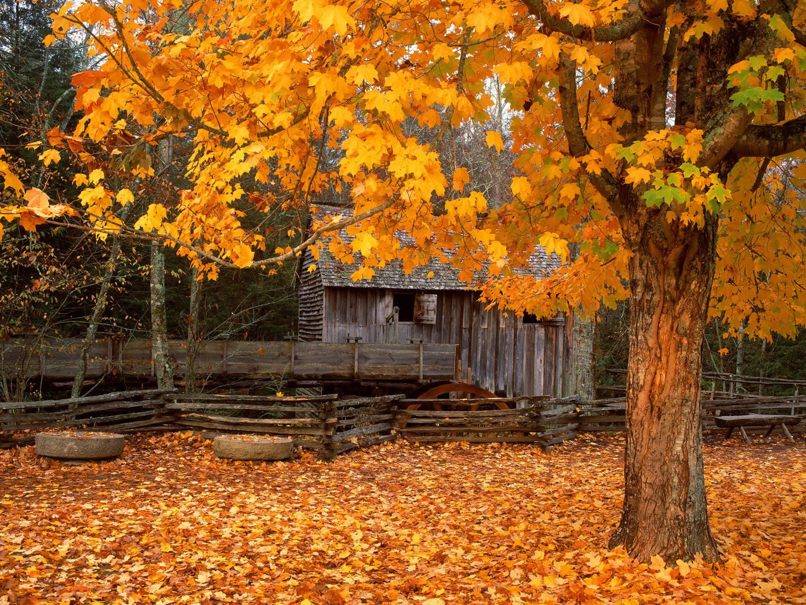 John Cable Mill Cades Cove Great Smoky Mountains National Park Tennessee
