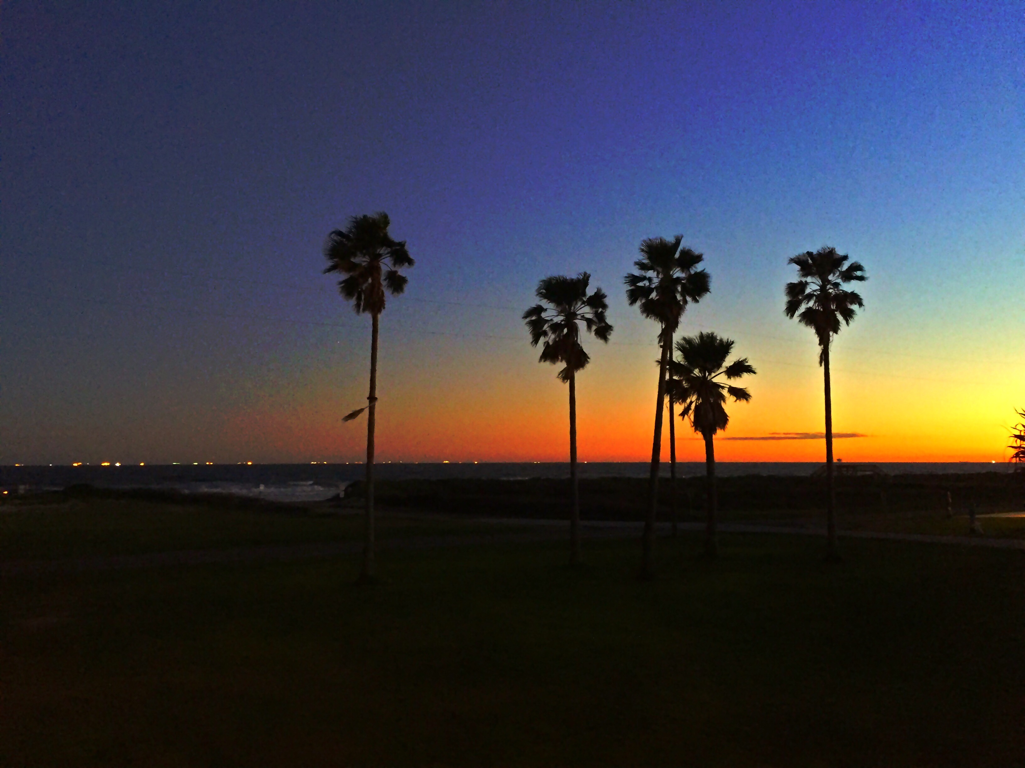 Wallpaper, sunset, sea, night, water, shore, sky, beach, sunrise, calm, evening, morning, relaxing, Sun, horizon, dusk, SOMA, OP, dawn, plant, ocean, palmtrees, palms, galveston, afterglow, arecales, palm tree, relight, relightedit 3264x2448