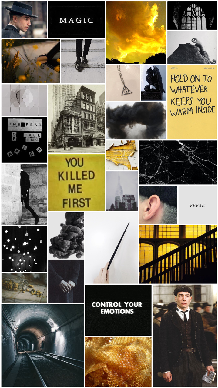 Fantastic Beasts And Where To Find Them Barebone Aesthetic