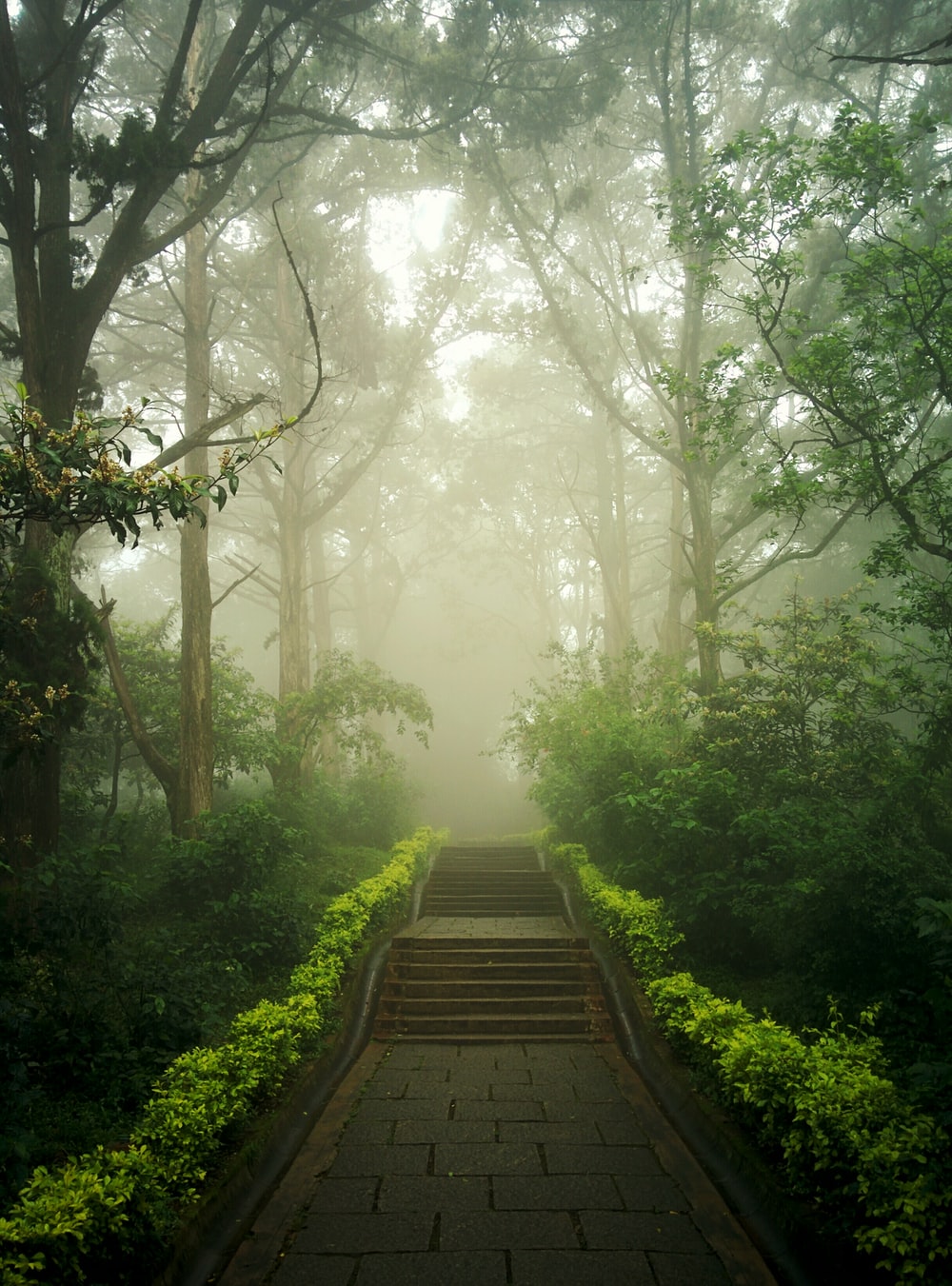 Nandi Hills, India Picture. Download Free Image