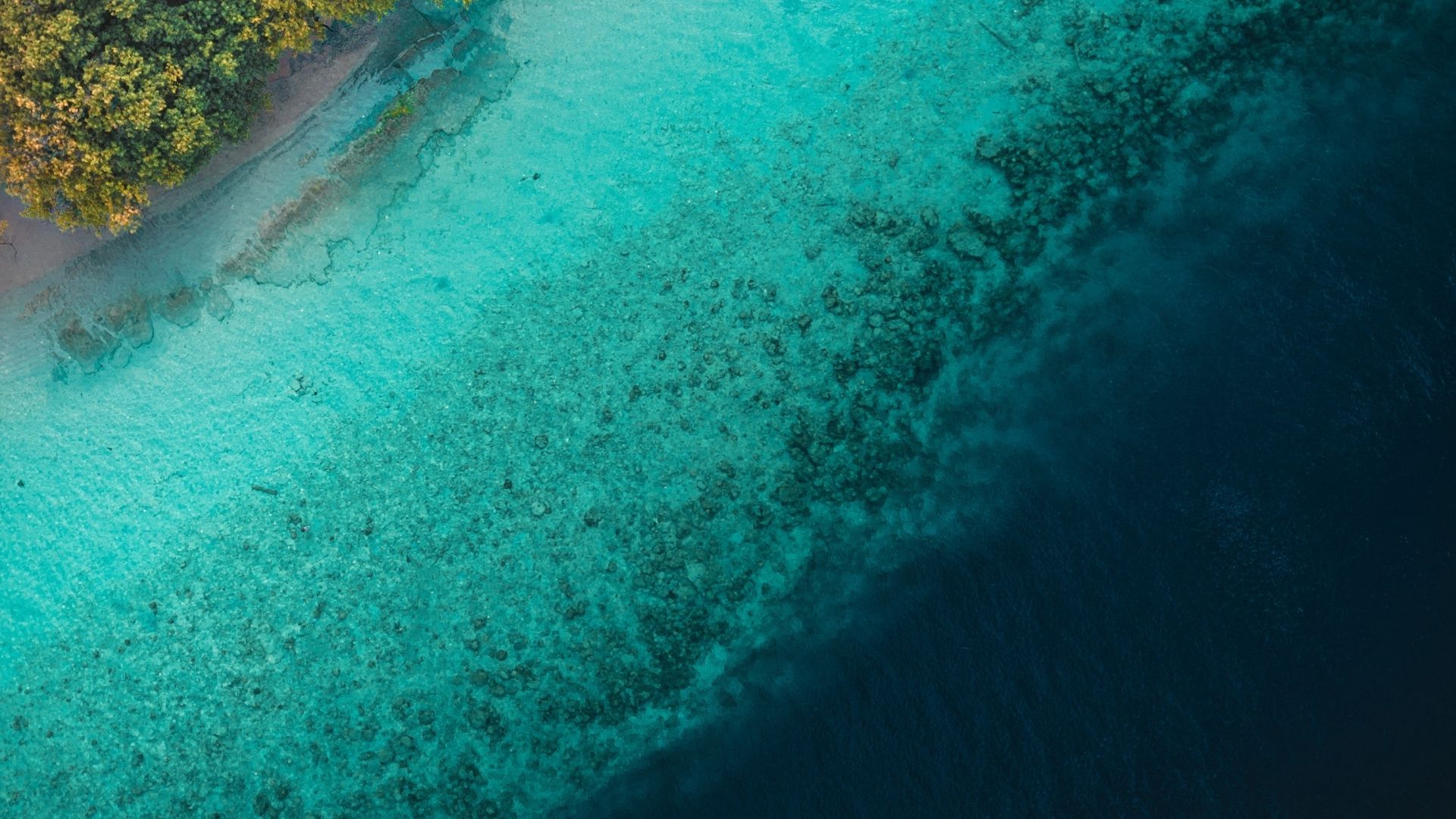 Desktop Wallpaper Tropical Sea, Beach, Blue Green, Maldives, HD Image, Picture, Background, F02b9c