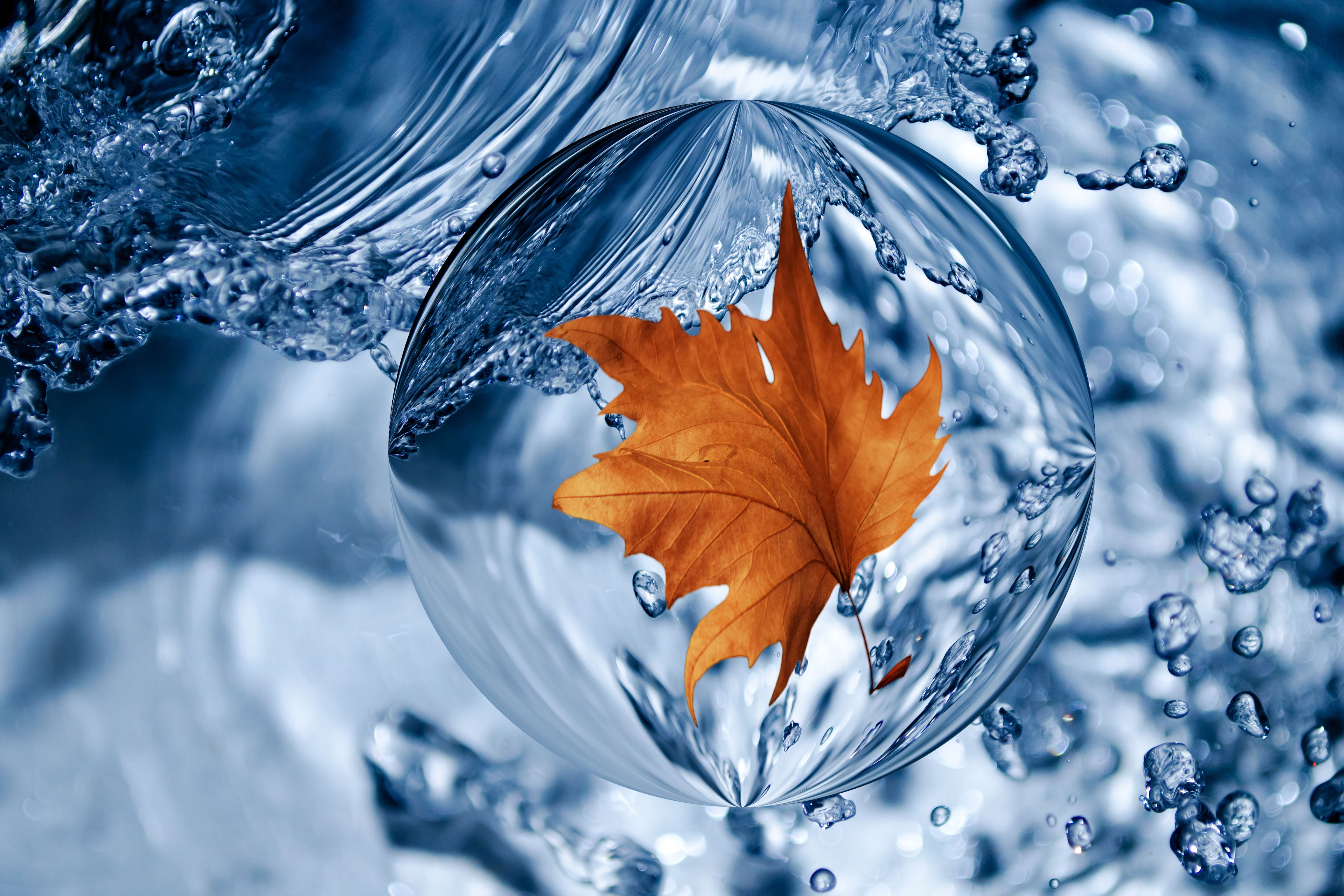 Yellow autumn leaf in a bubble of water wallpaper and image, picture, photo
