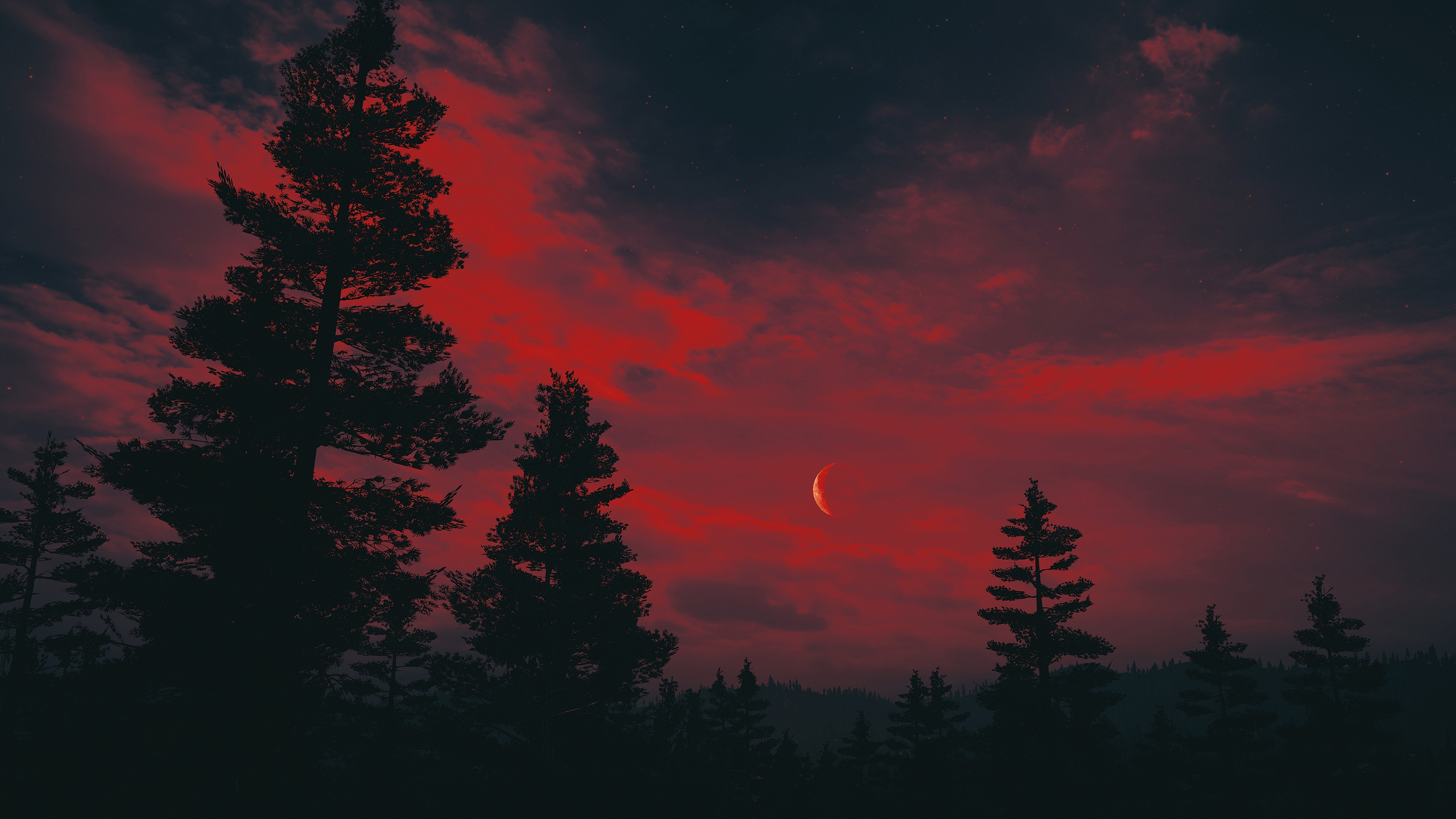 Wallpaper, Far Cry red sky, forest, PC gaming, landscape, night 2560x1440