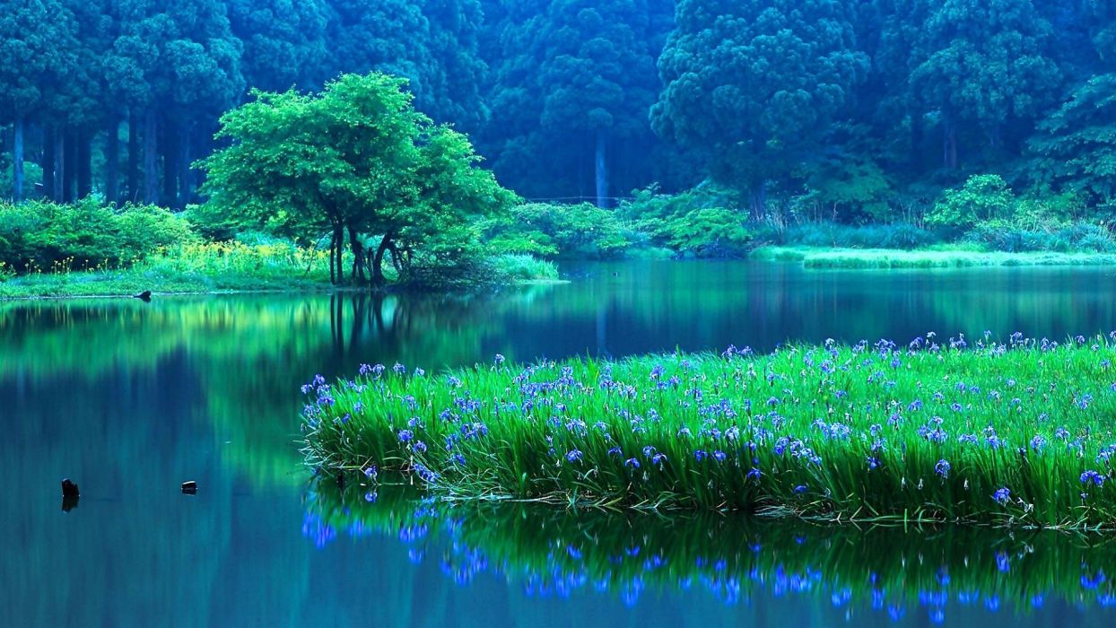 Lake nature water landscape reflection wallpaperx1080