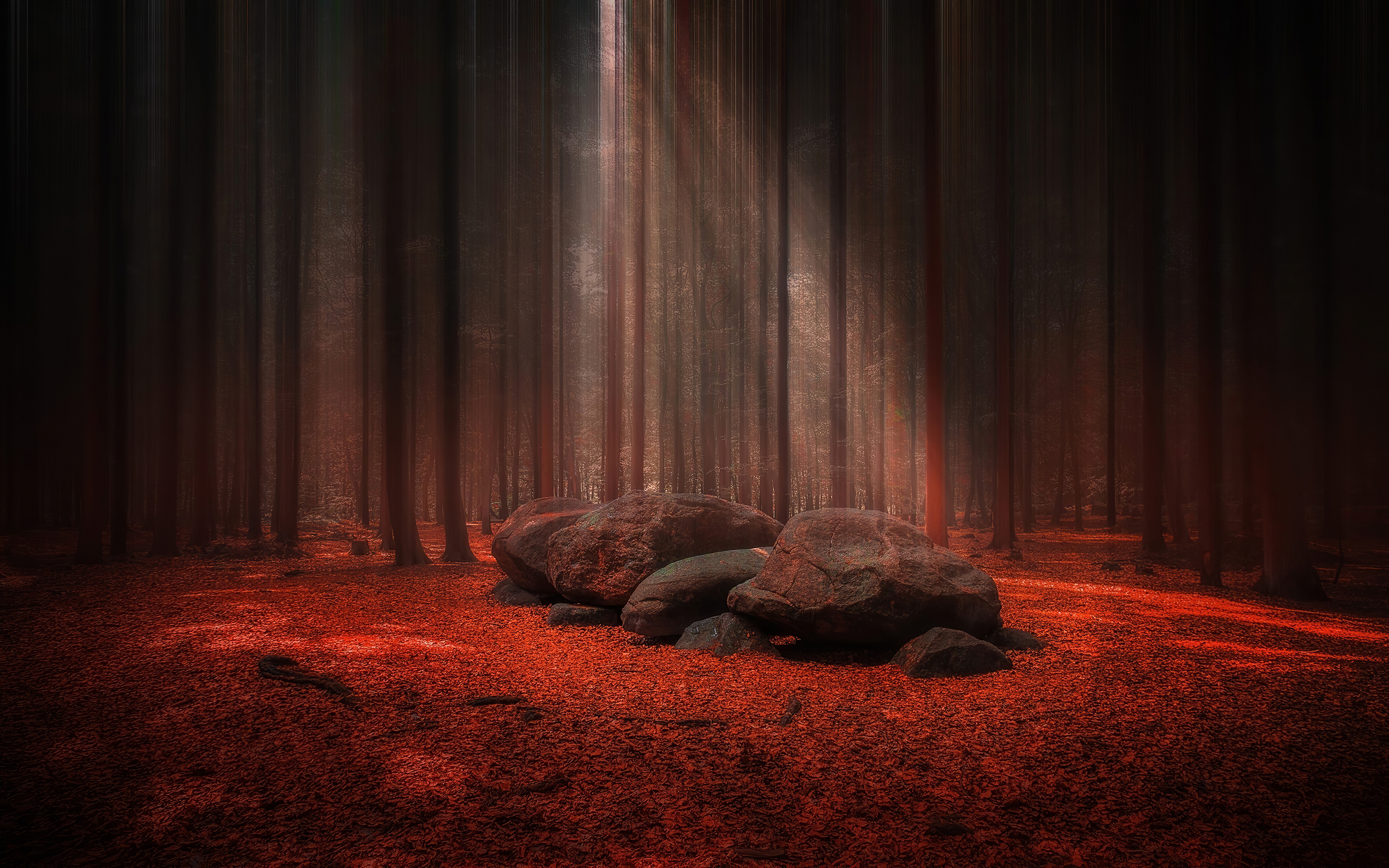 Red Stones Wood Light Beams 4k 1600x1200 Resolution HD 4k Wallpaper, Image, Background, Photo and Picture