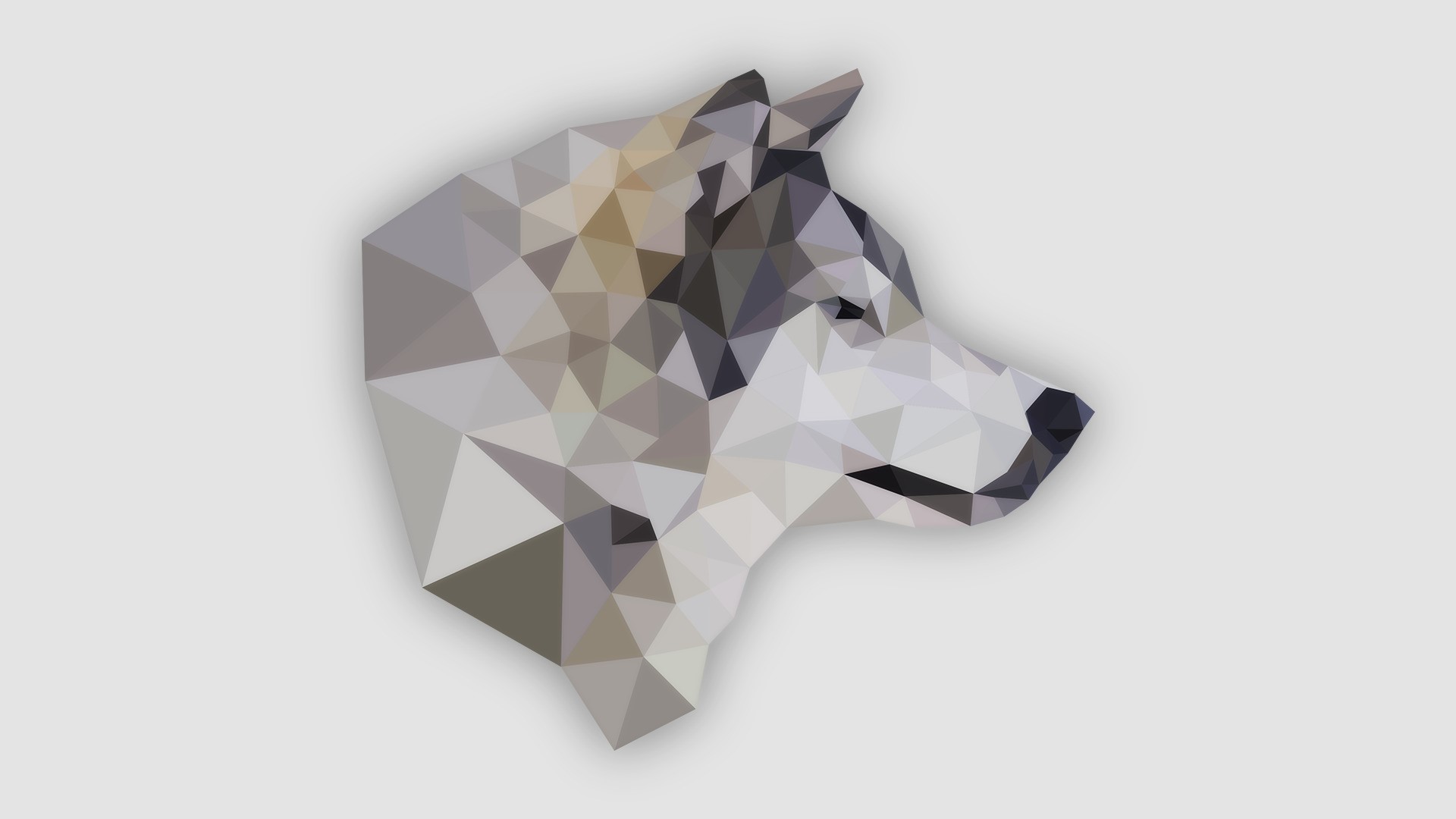 1920x1080 animals simple wolf wallpaper JPG 89 kB