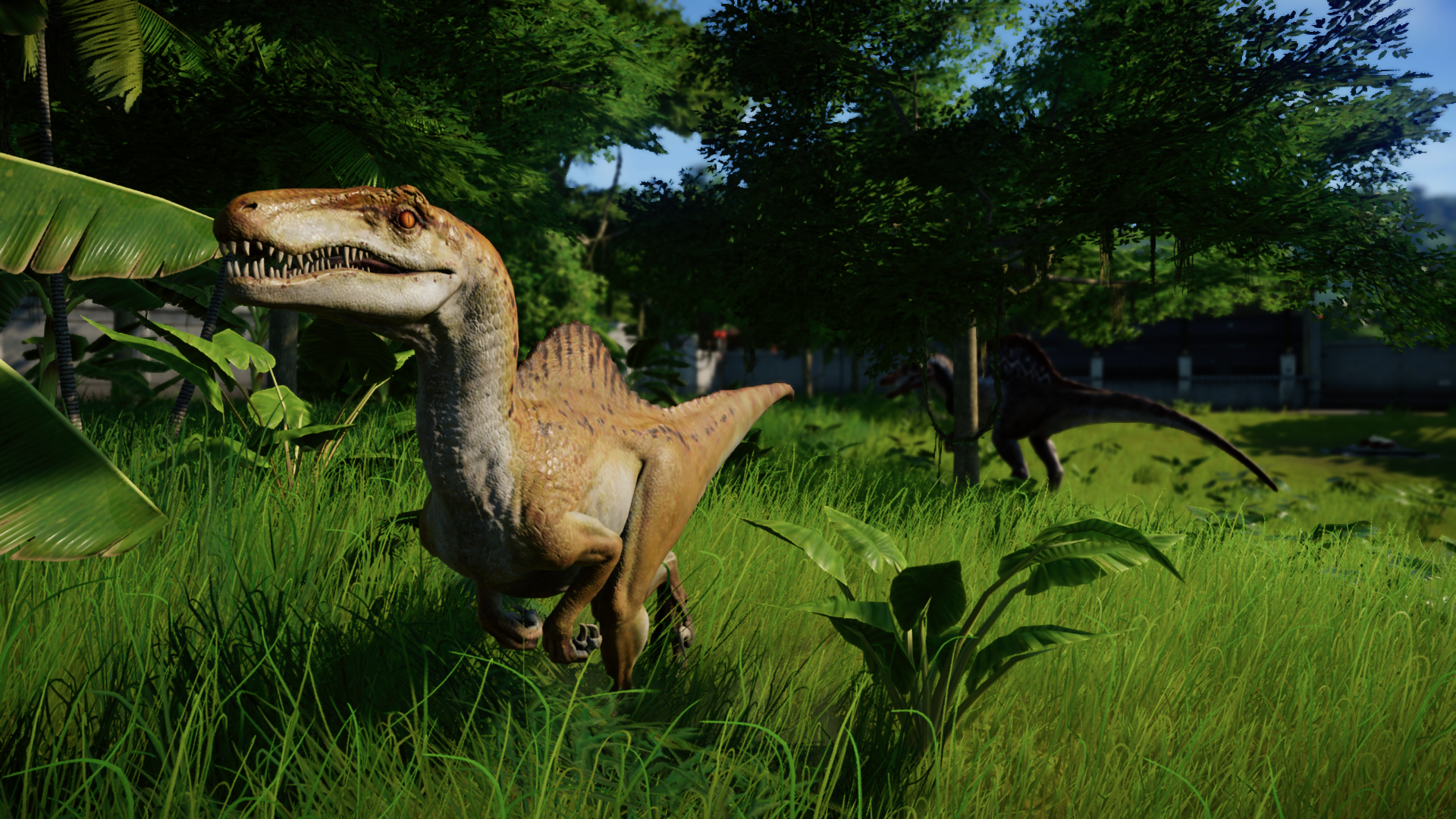 Spinoraptor is awesome !!: jurassicworldevo