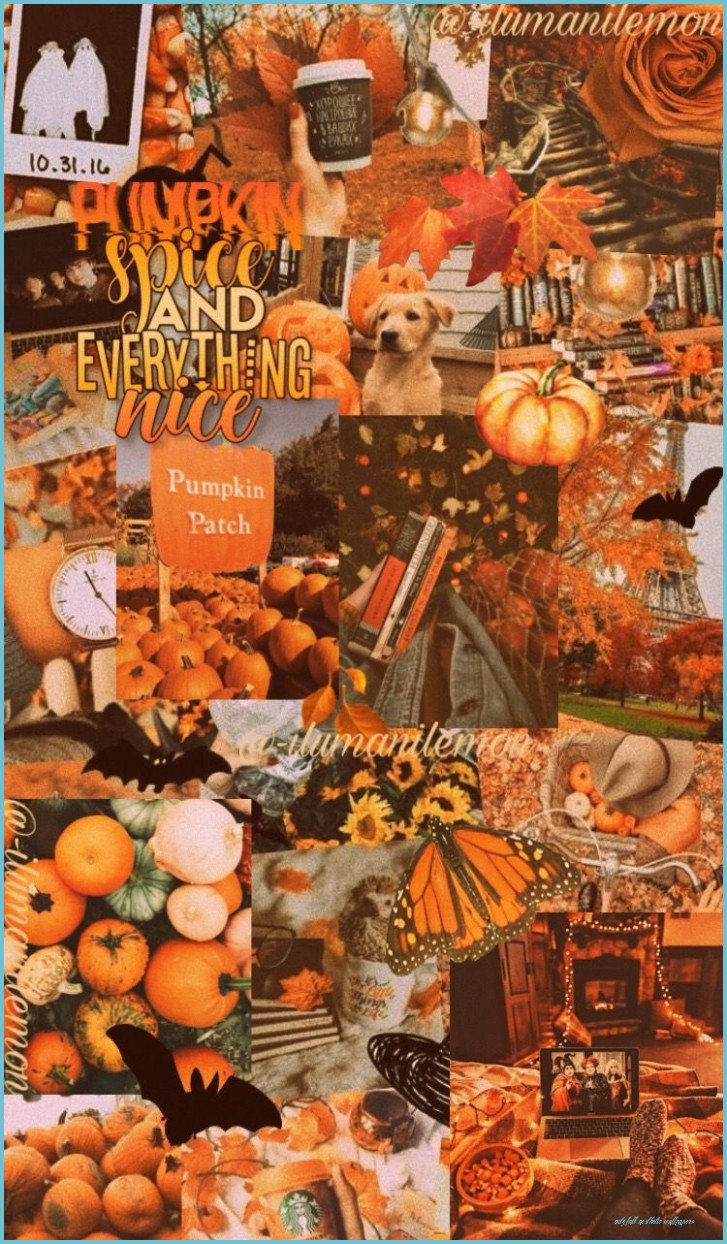 100 Halloween Tumblr Aesthetic Wallpapers  Wallpaperscom