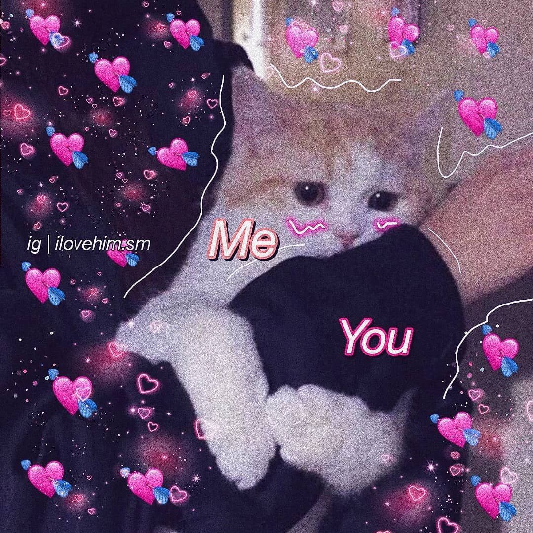 Idk why I keep making animal ones × #lovememes #love #memes #meme #wholesomememes #wholesome #cute #memesda. Cute love memes, Cute memes, Cute cartoon wallpaper