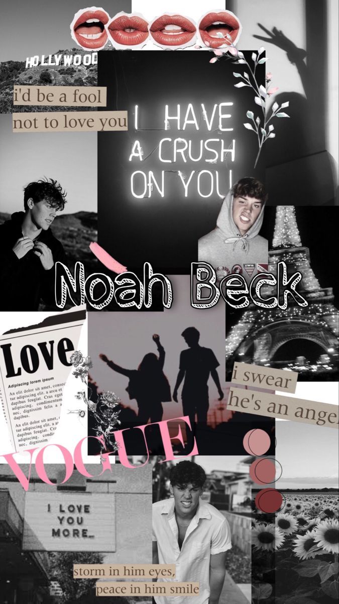 Noah Beck Wallpaper Free Noah Beck Background