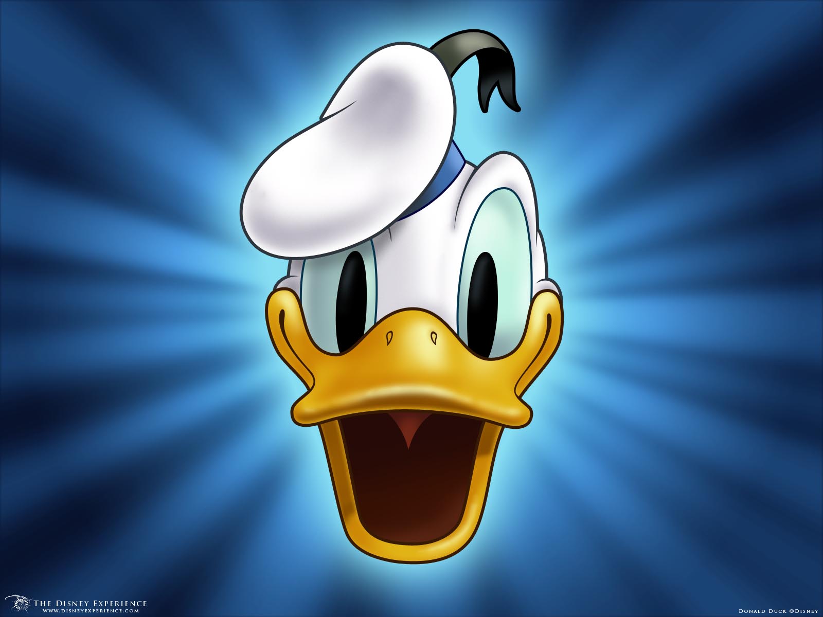 Donald Duck Computer Wallpaper