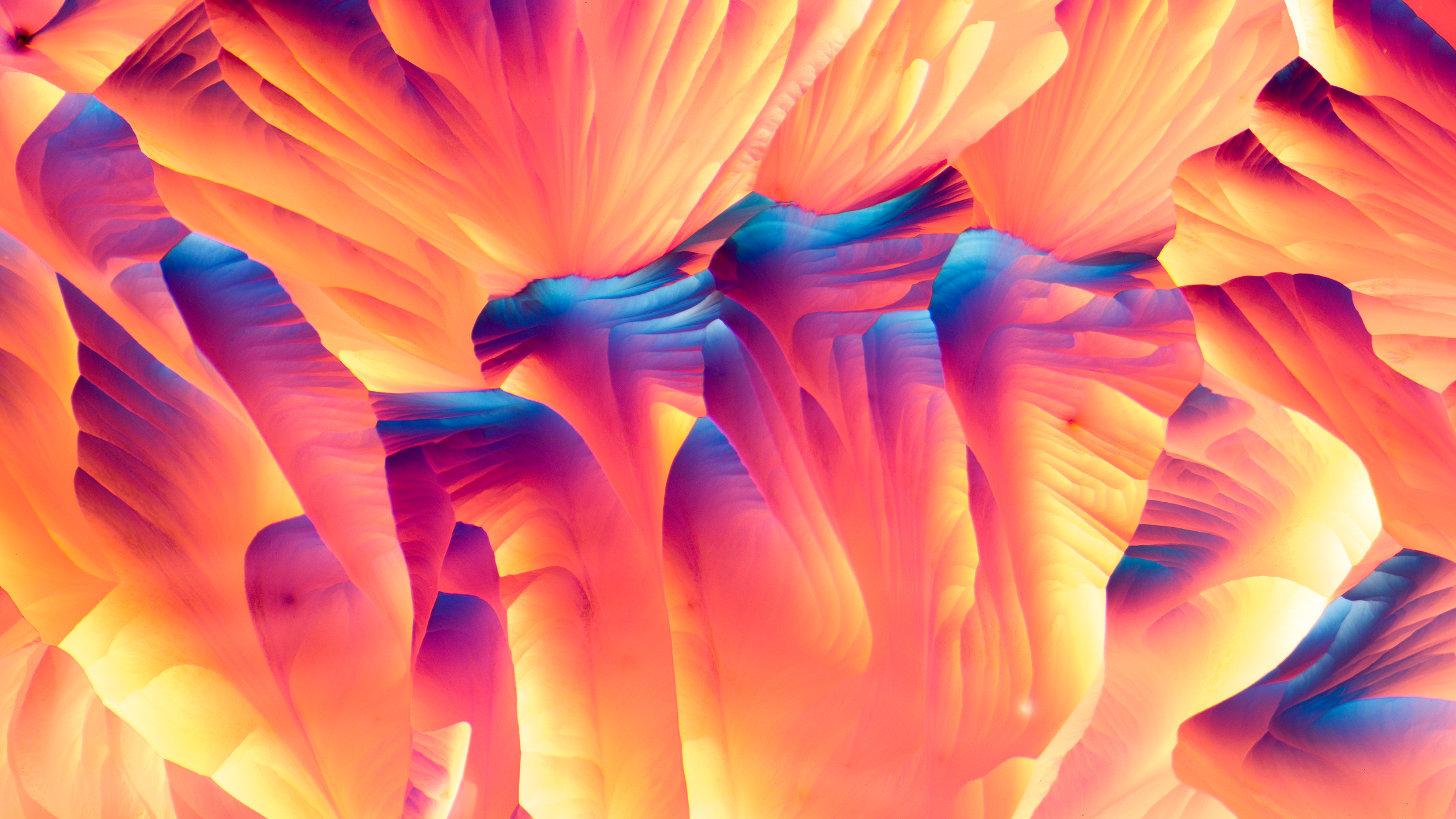 Wallpaper, microscopic, crystal, photography, abstract 2560x1440