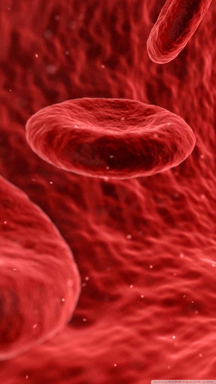 Red Blood Cells Microscope Ultra HD Desktop Background Wallpaper for 4K UHD TV, Widescreen & UltraWide Desktop & Laptop, Multi Display, Dual Monitor, Tablet