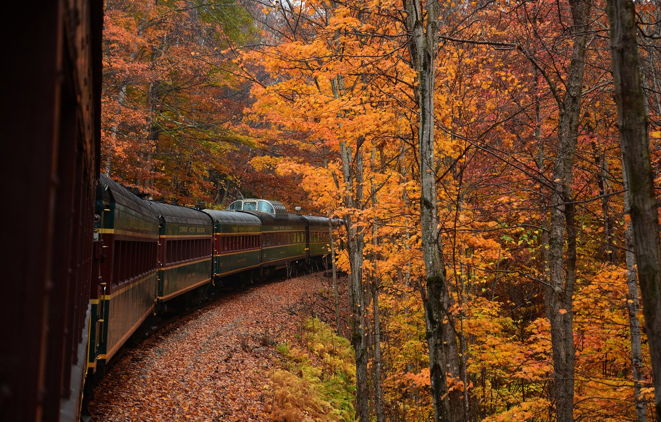 Wallpaper autumn, forest, trees, train, the car image for desktop, section пейзажи