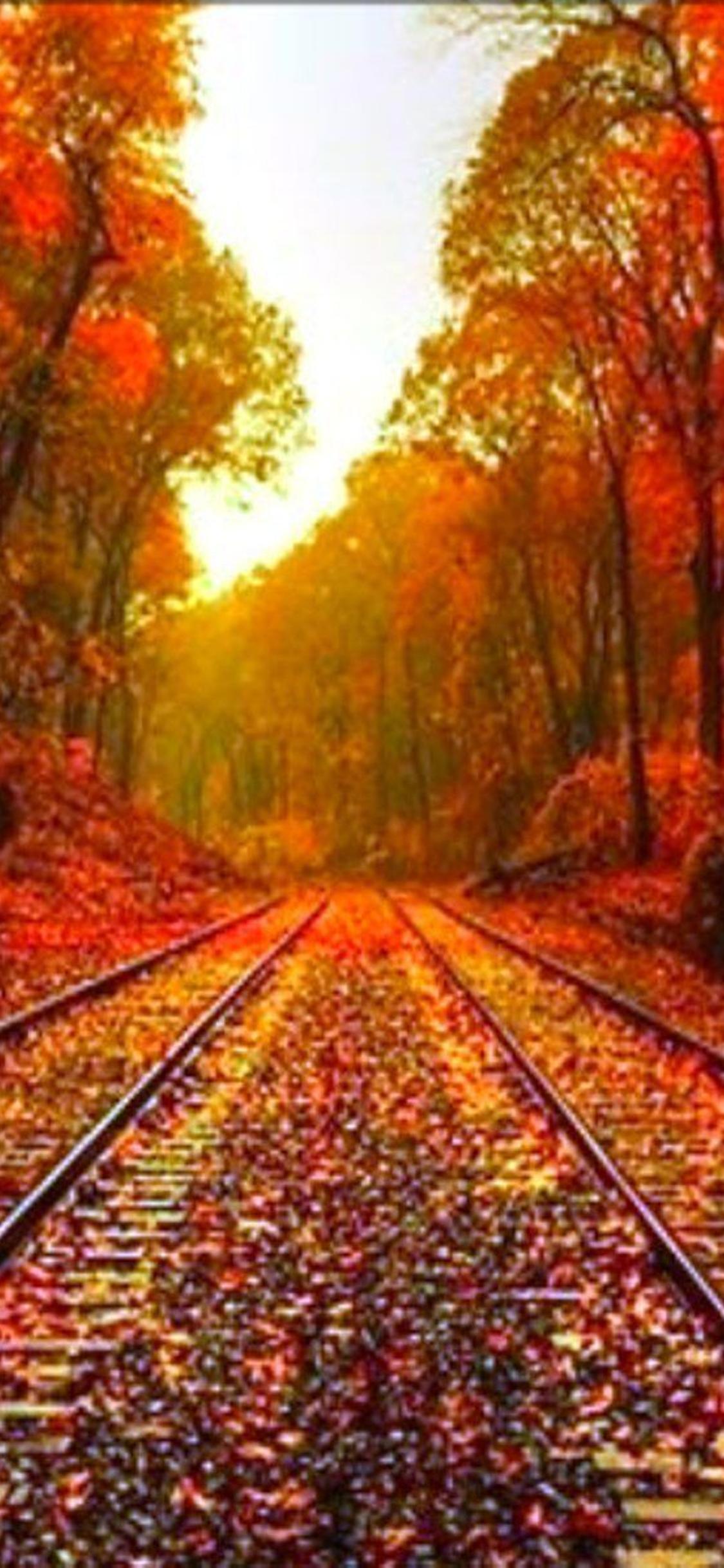Autumn leaves on the rails wonderful wallpaper